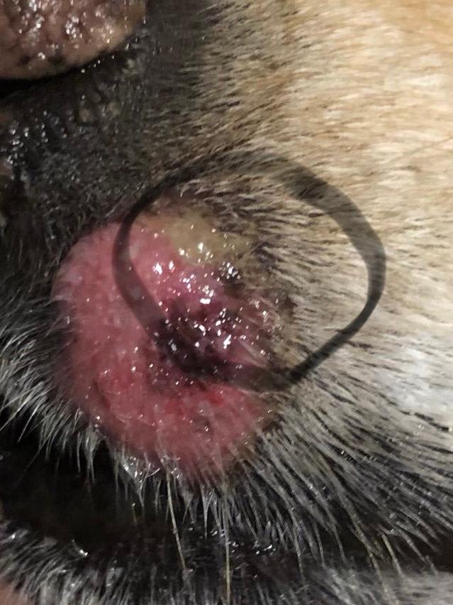 Question details sensitive content