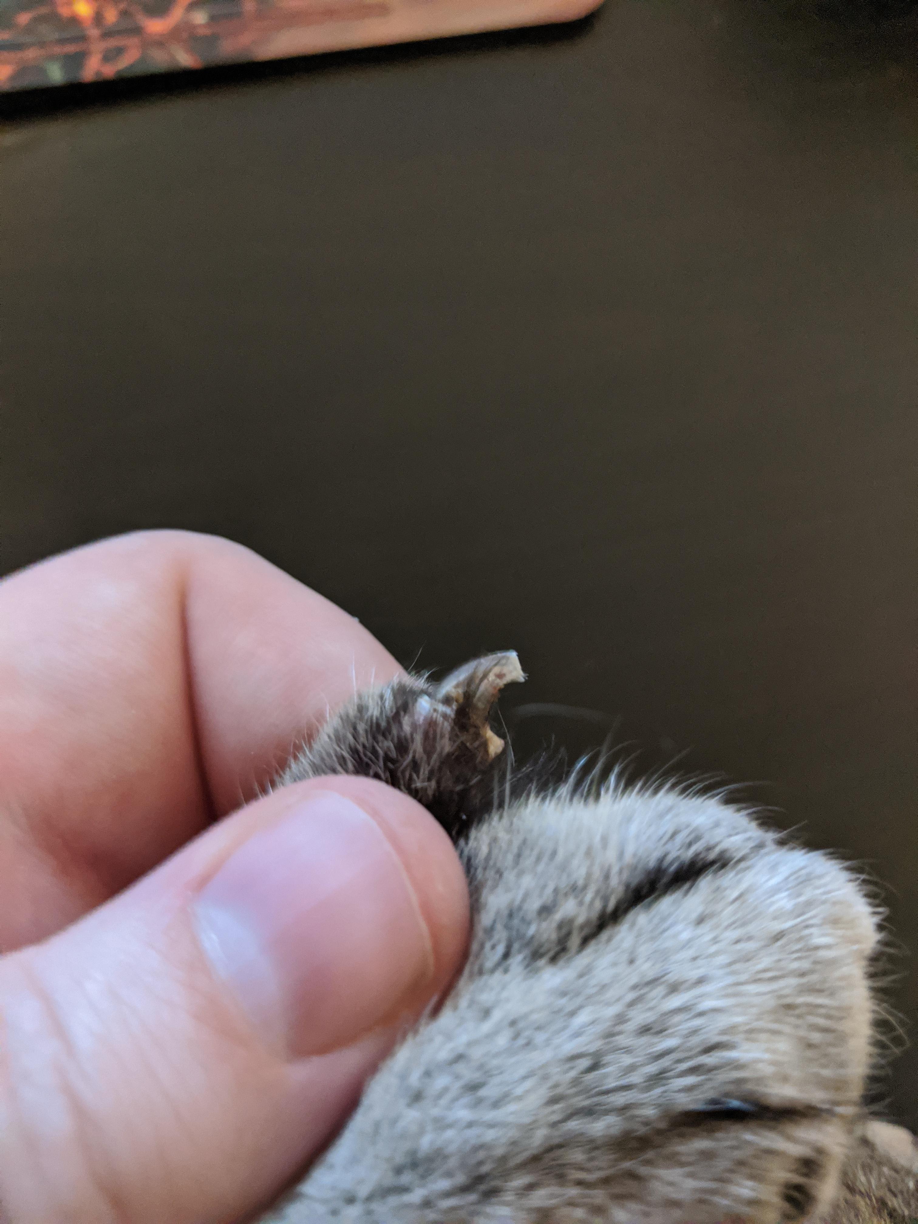 Question details sensitive content