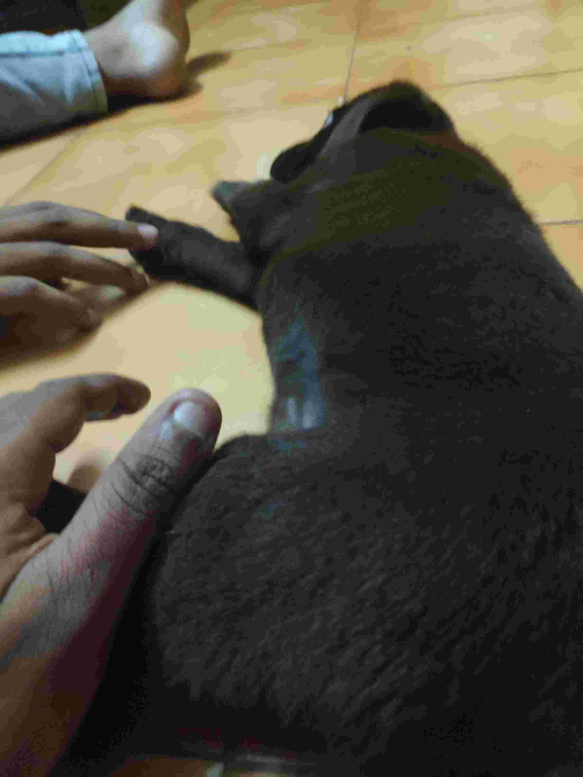 Question details sensitive content