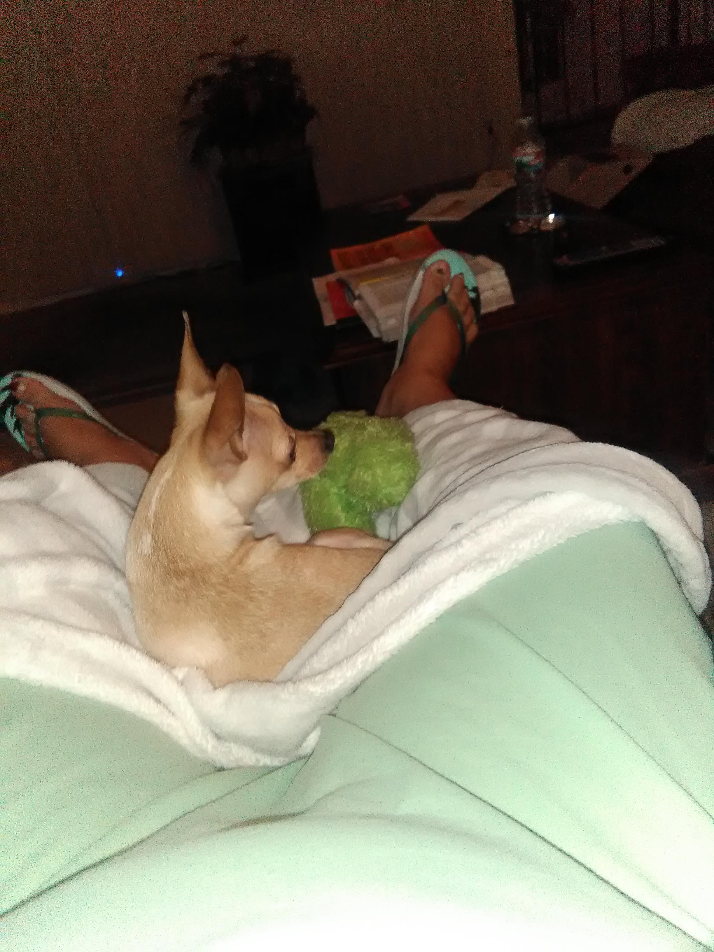 Question details sensitive content