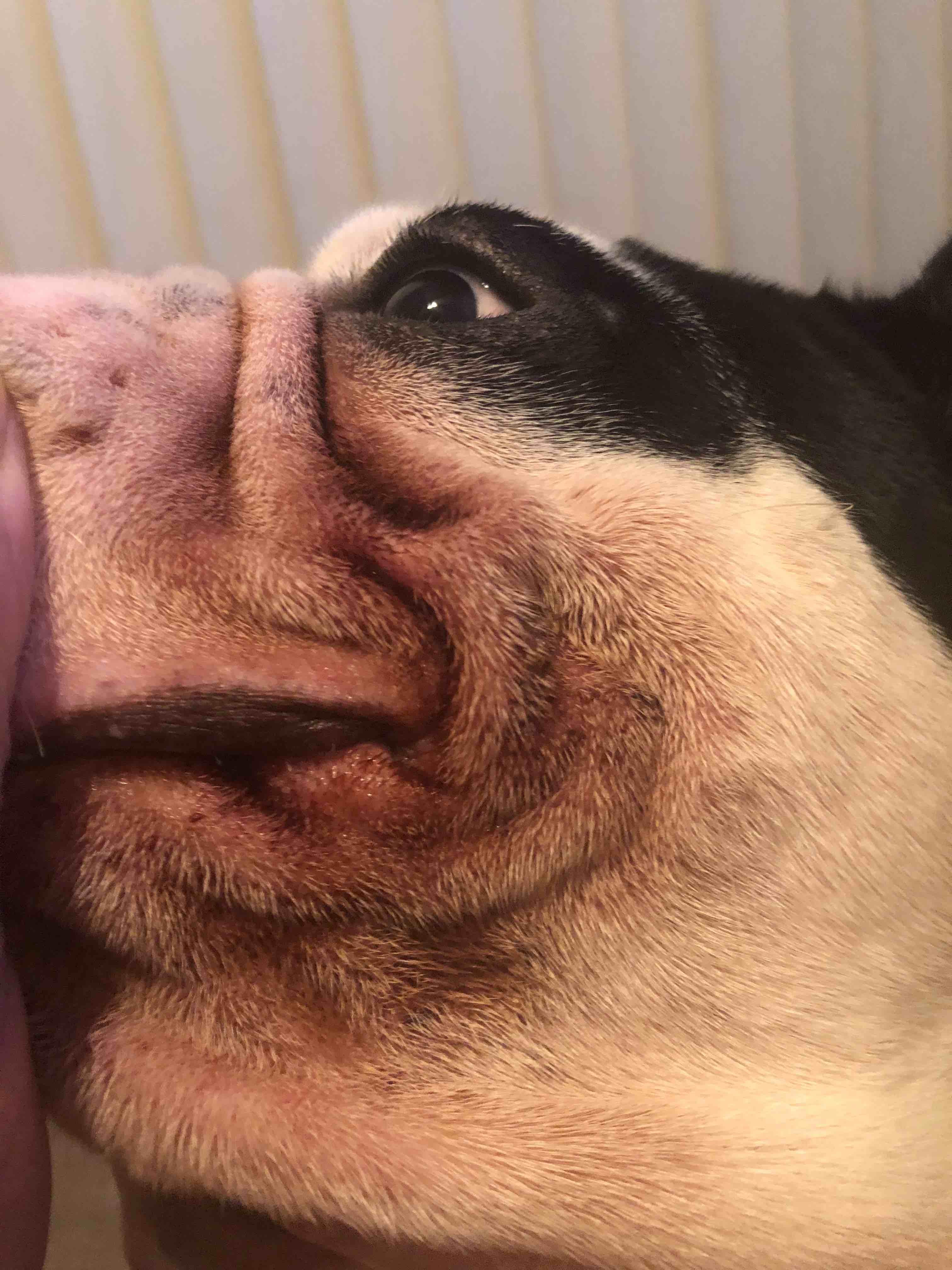 Question details sensitive content