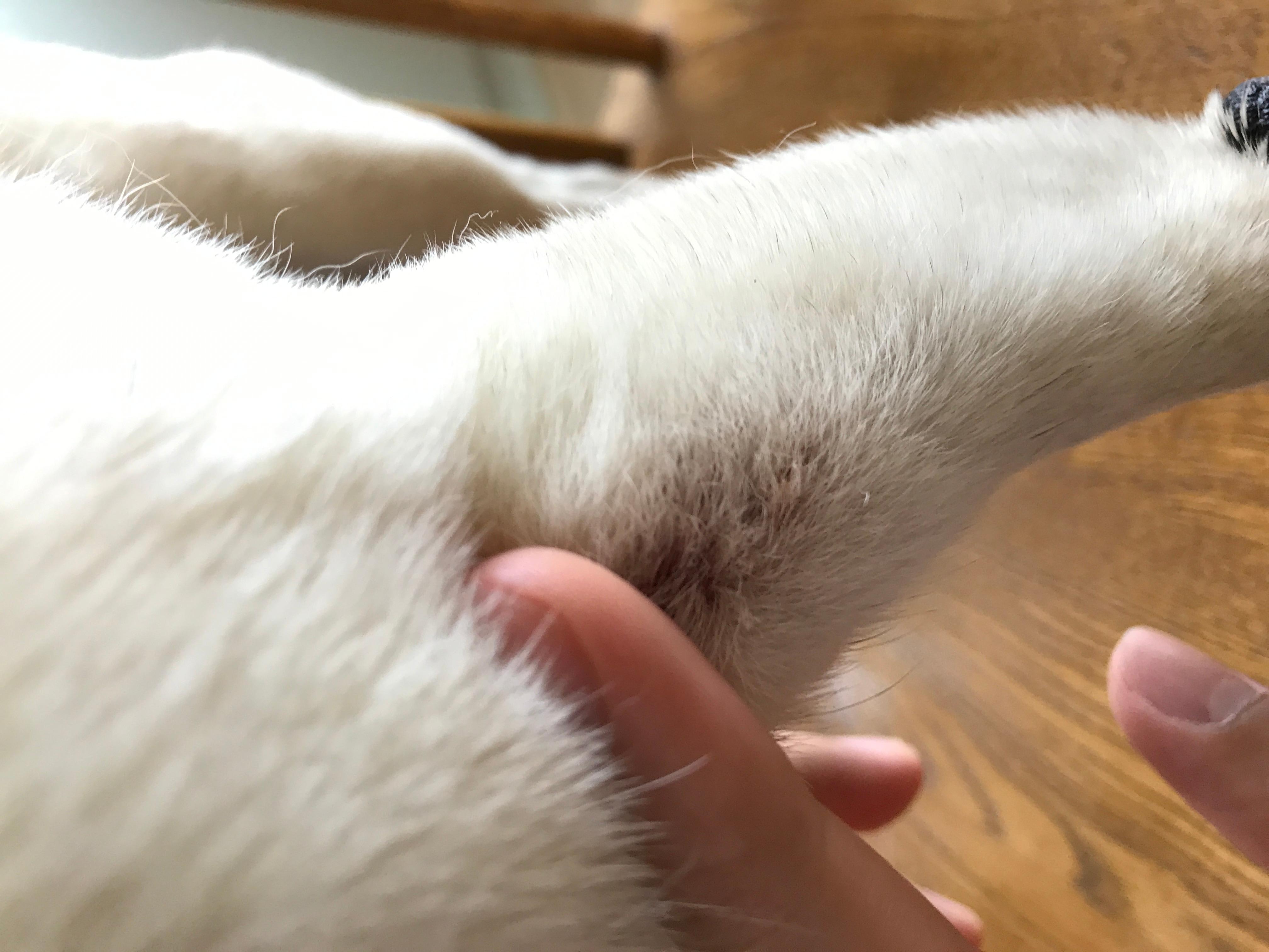 Question details sensitive content