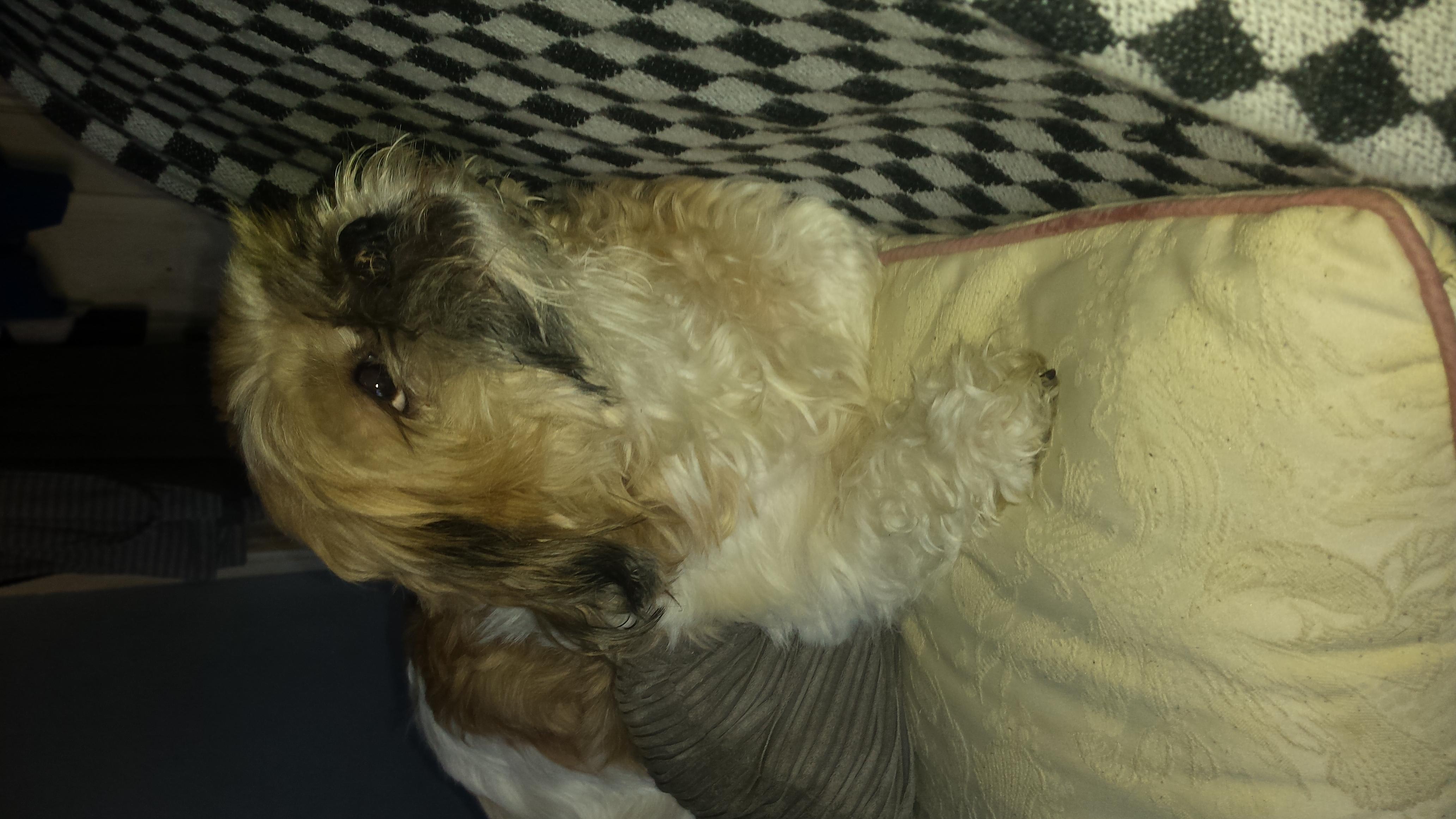 Question details sensitive content