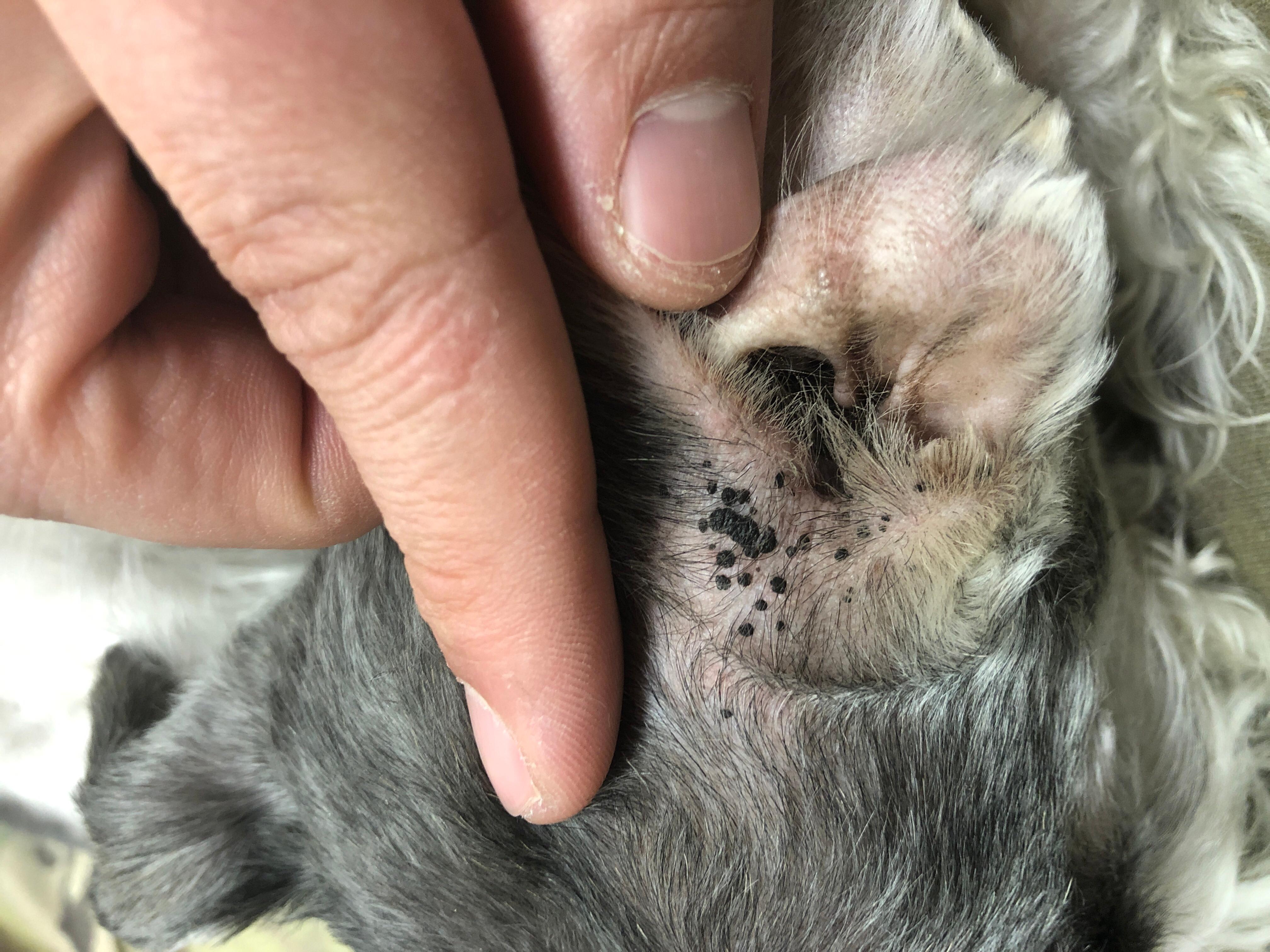 Question details sensitive content