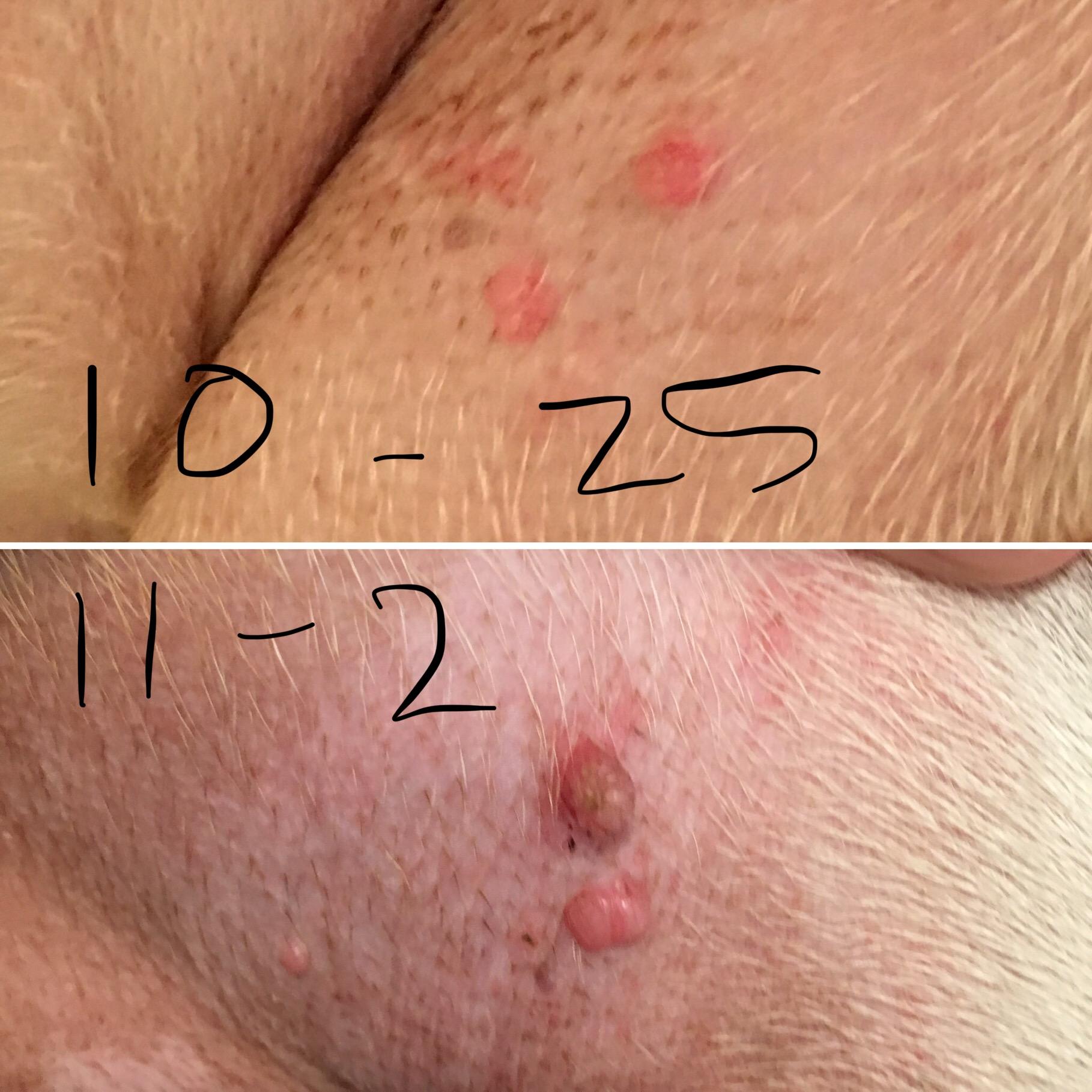 Question details sensitive content