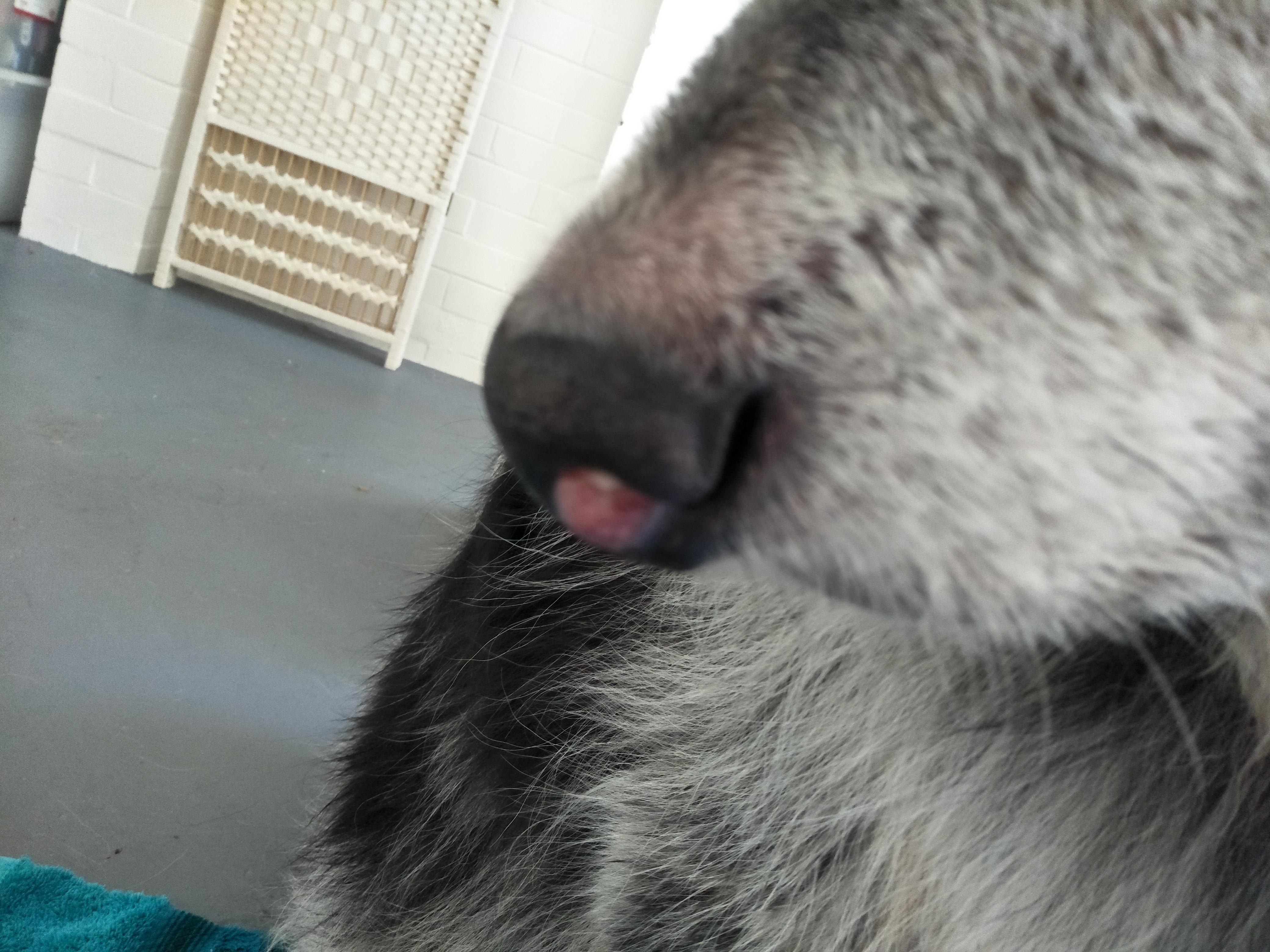 Question details sensitive content