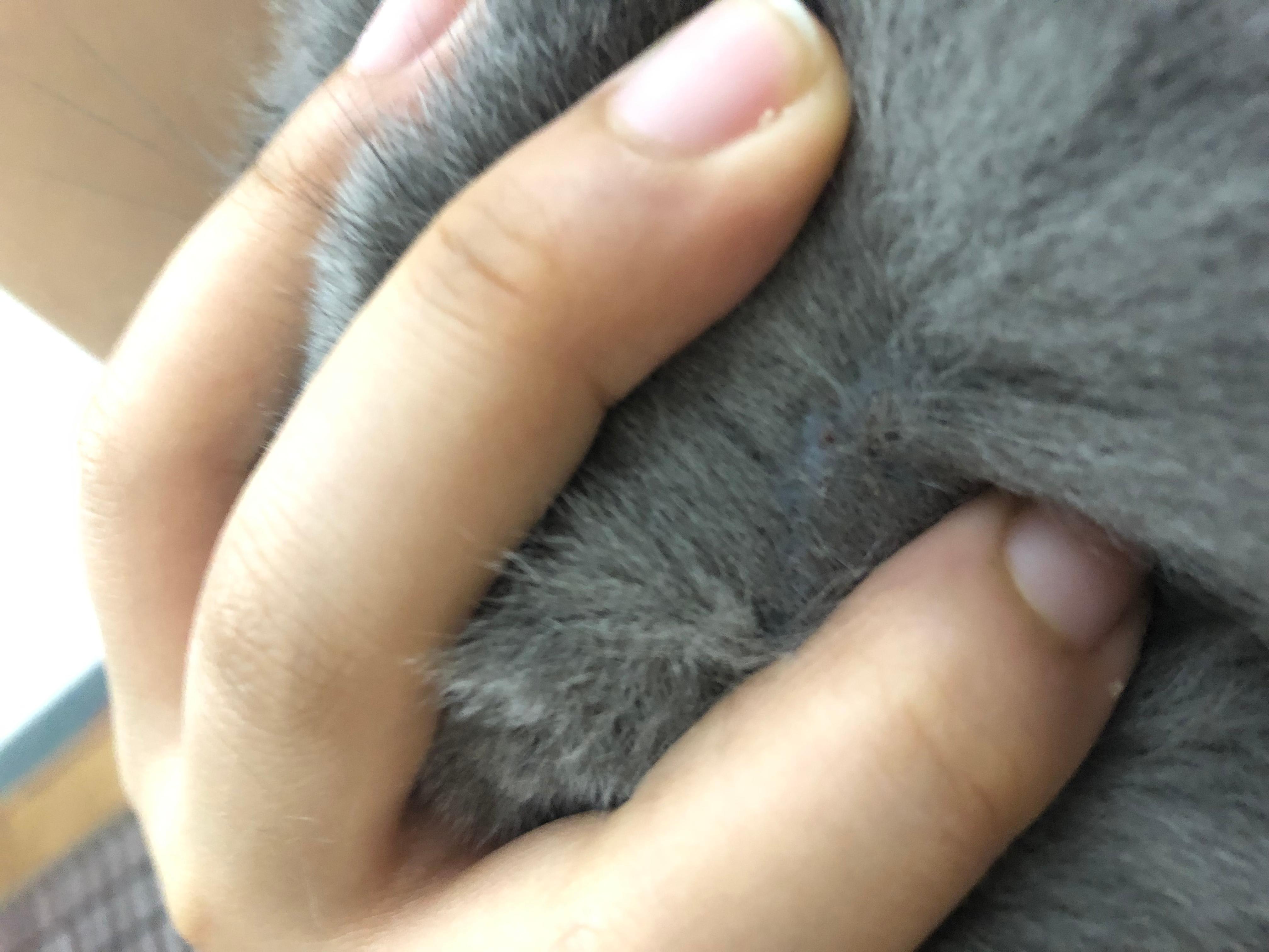 Question details sensitive content