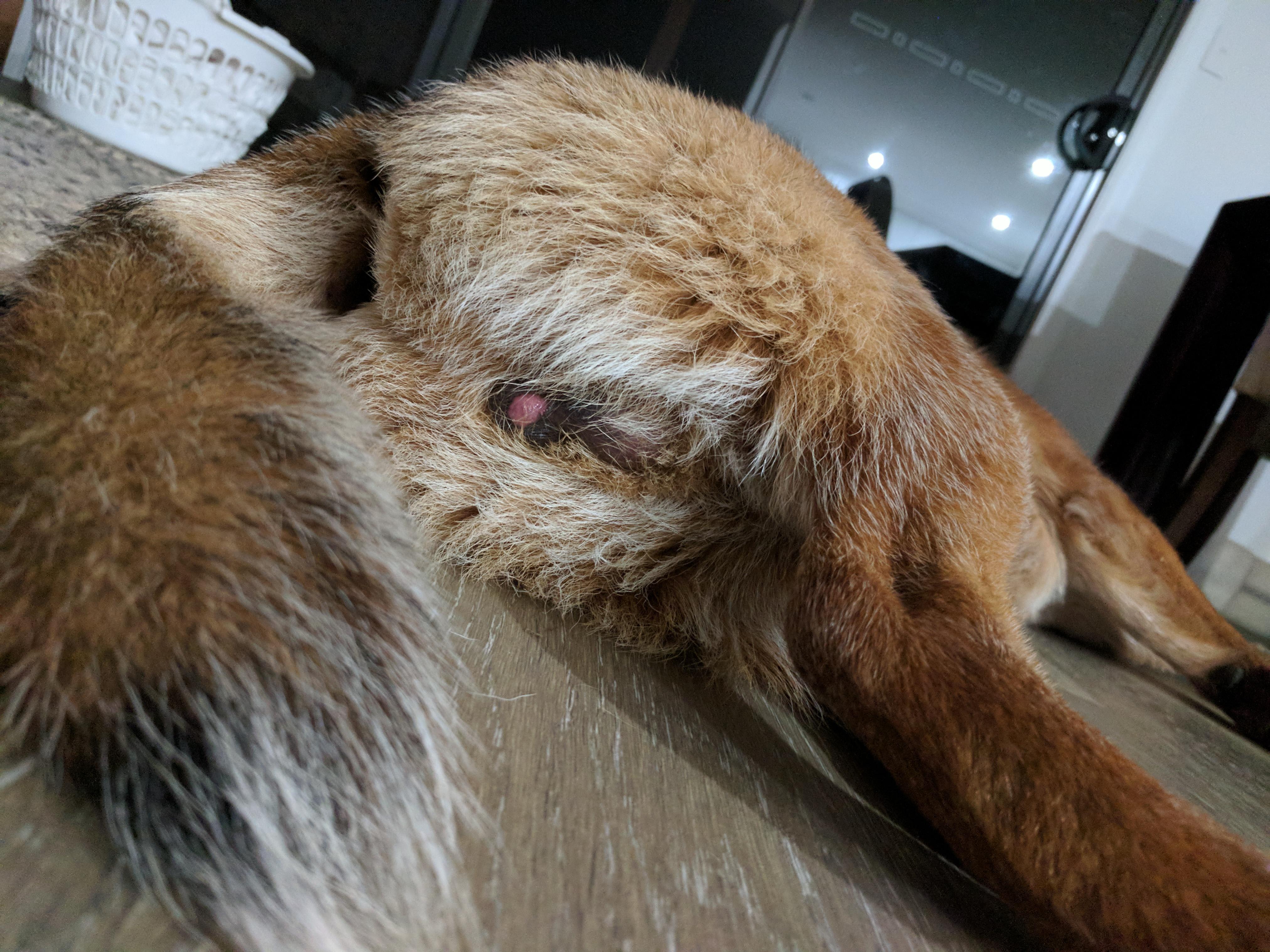 Question details sensitive content