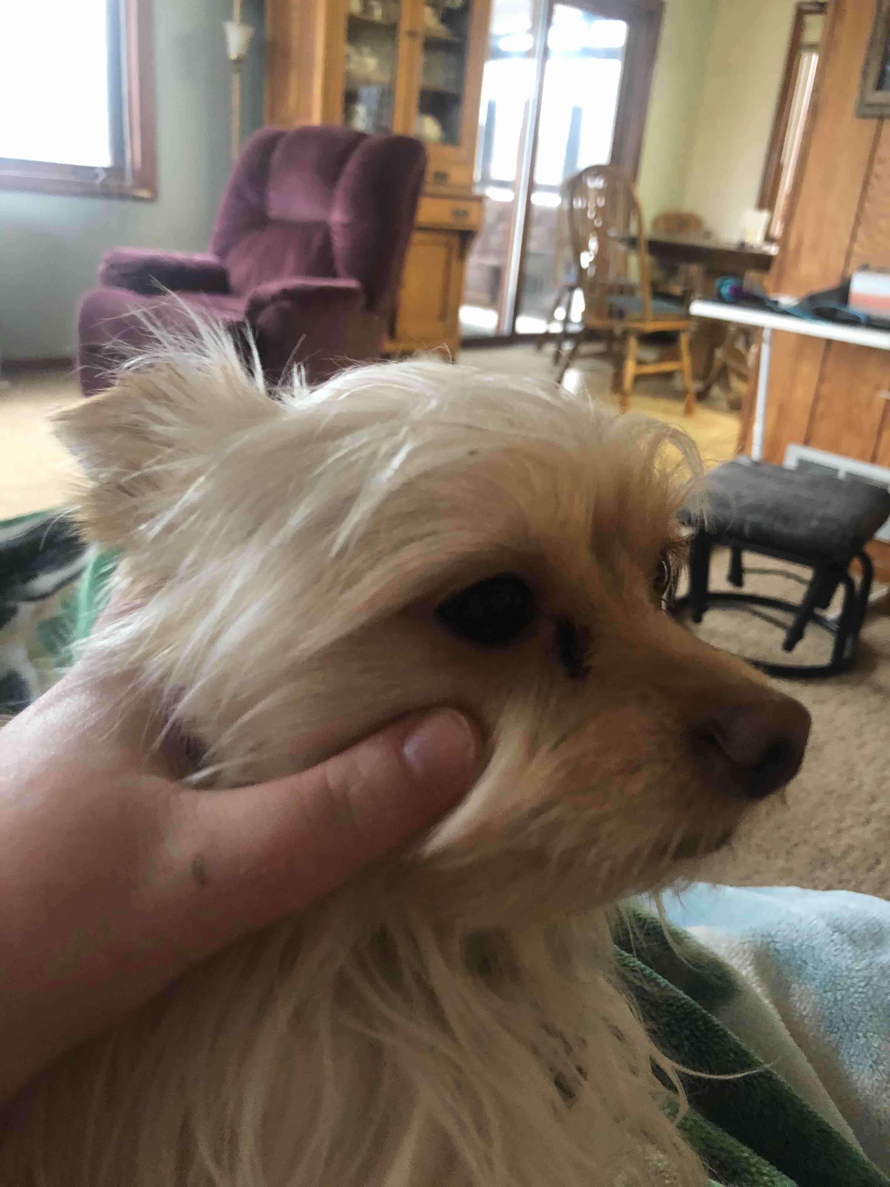 Question details sensitive content