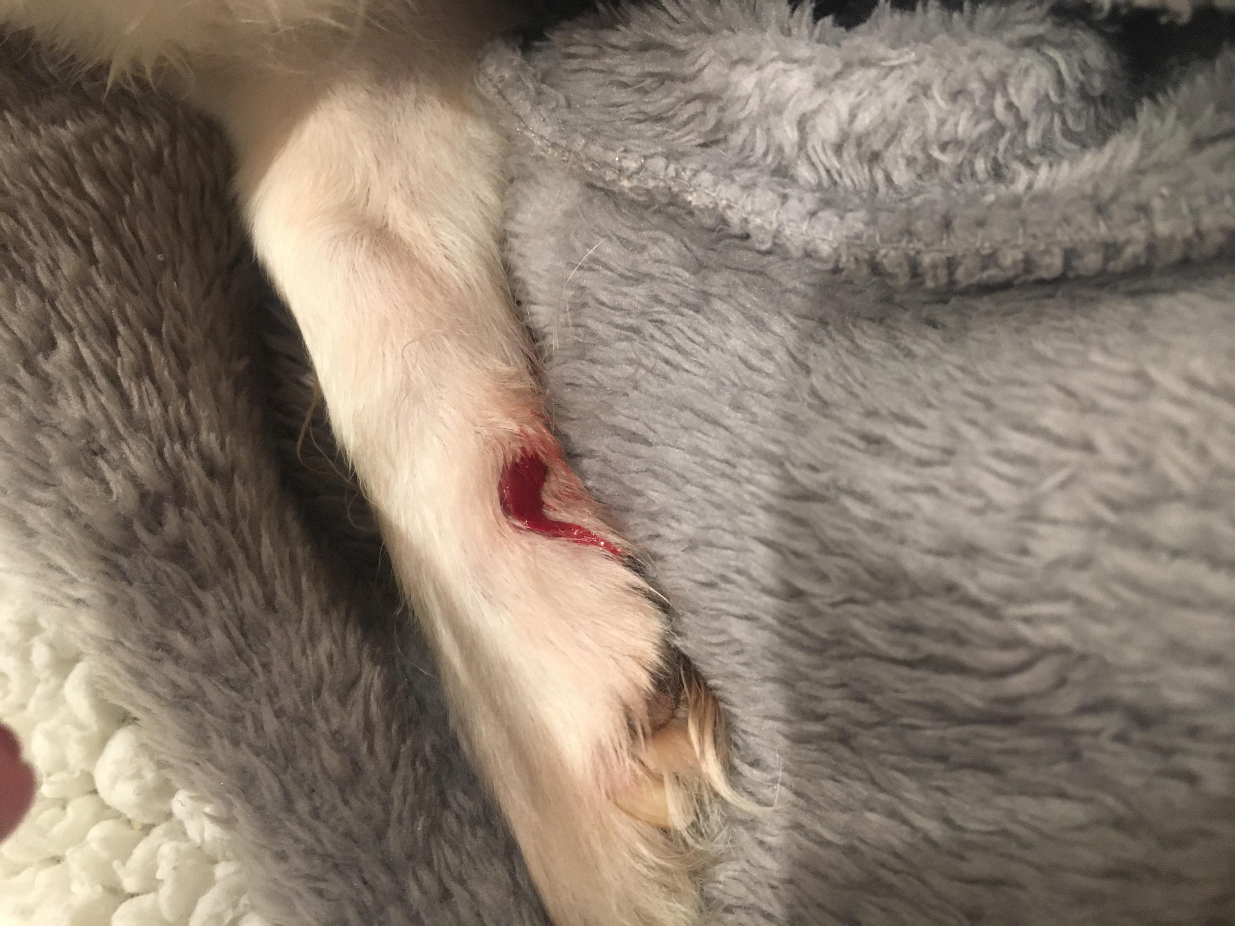 Question details sensitive content