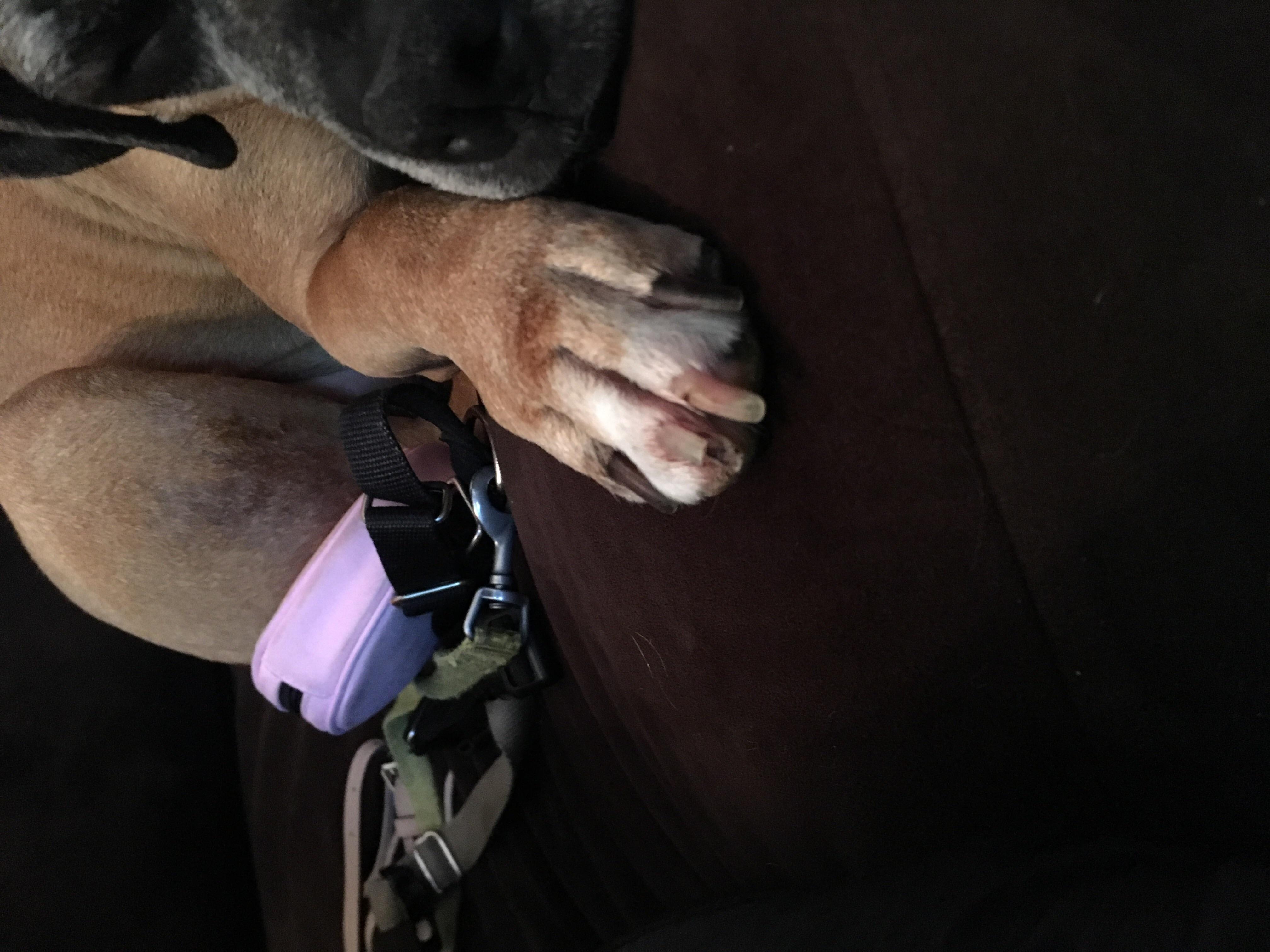 Question details sensitive content