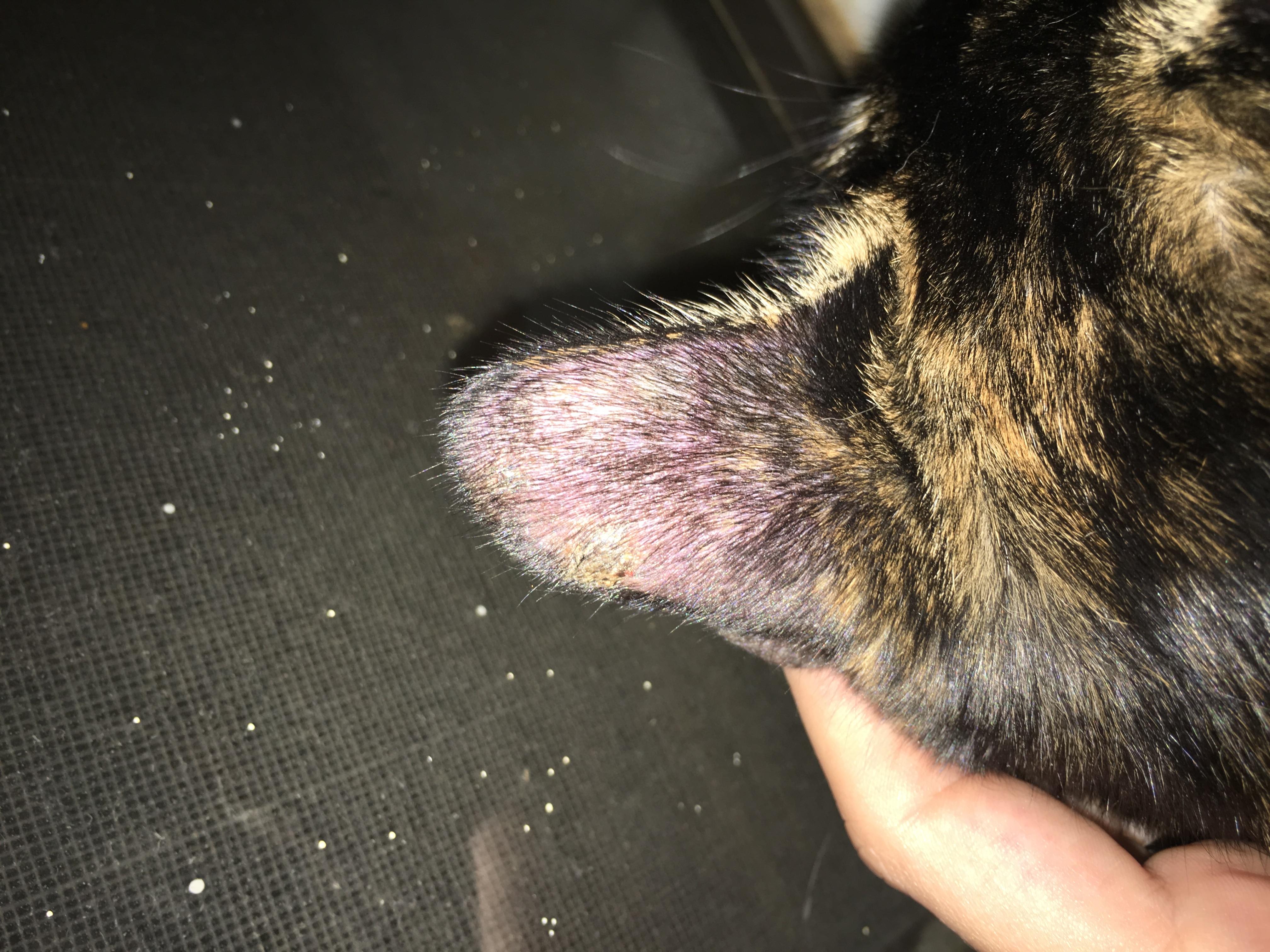 Question details sensitive content