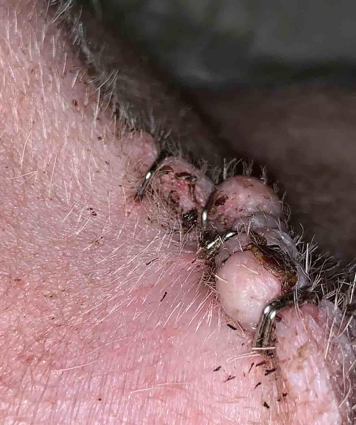 Question details sensitive content