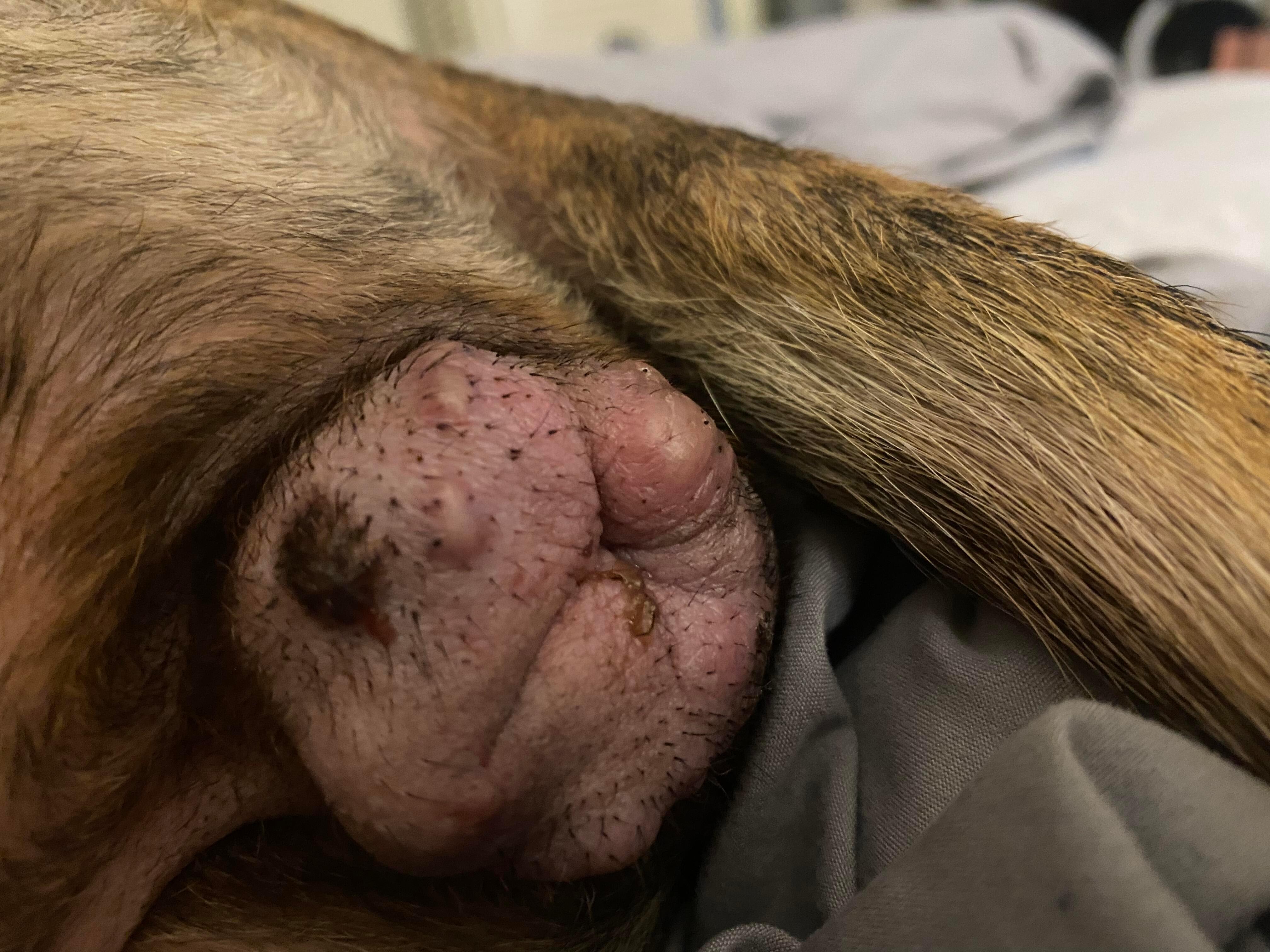 Question details sensitive content