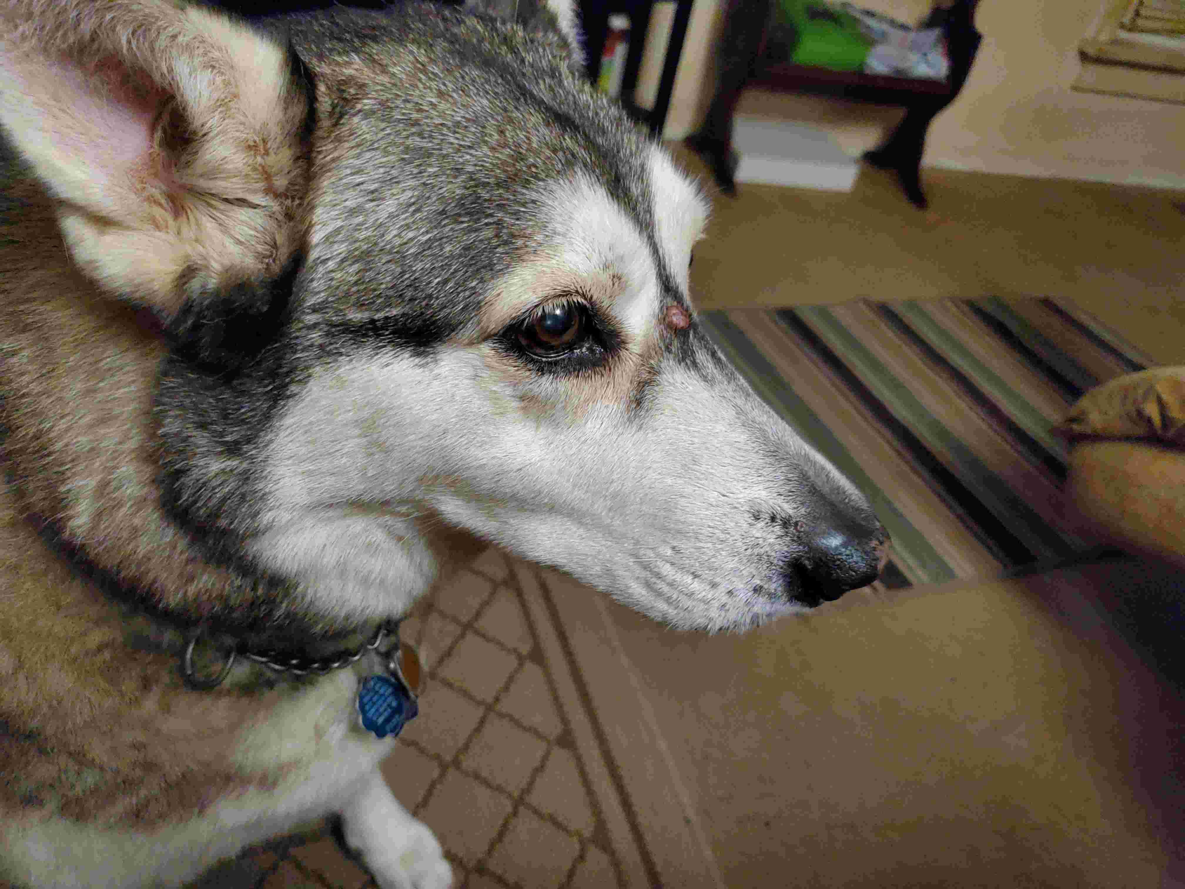 Question details sensitive content