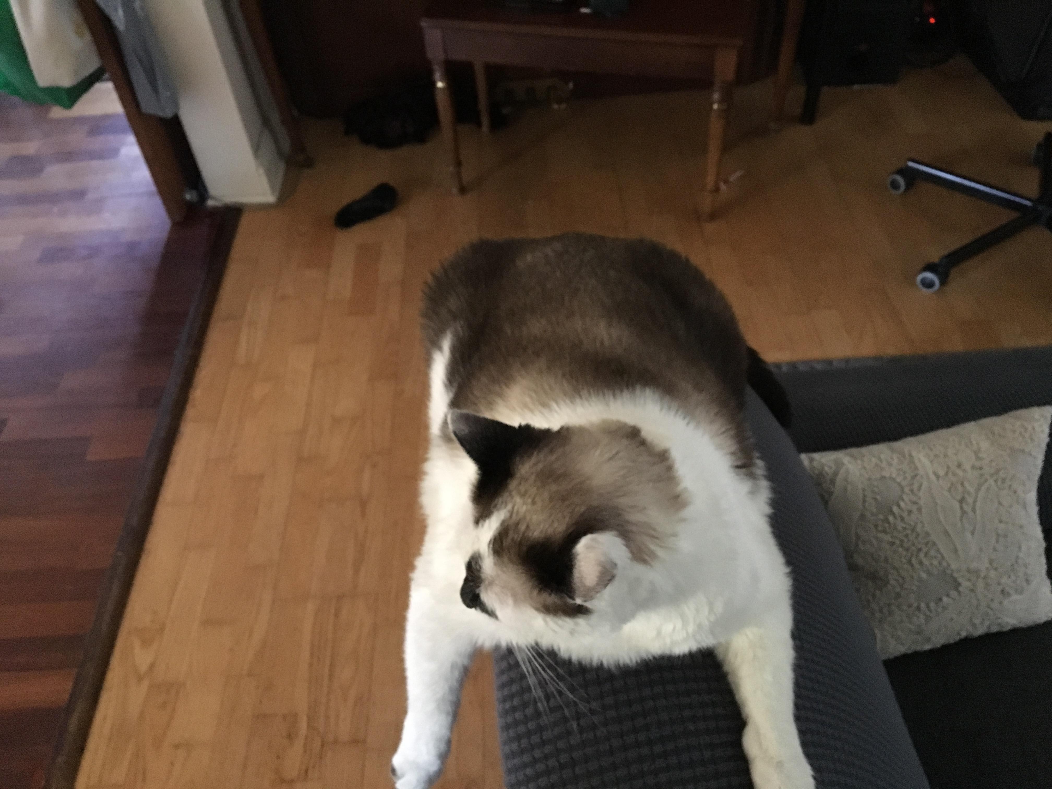 Question details sensitive content