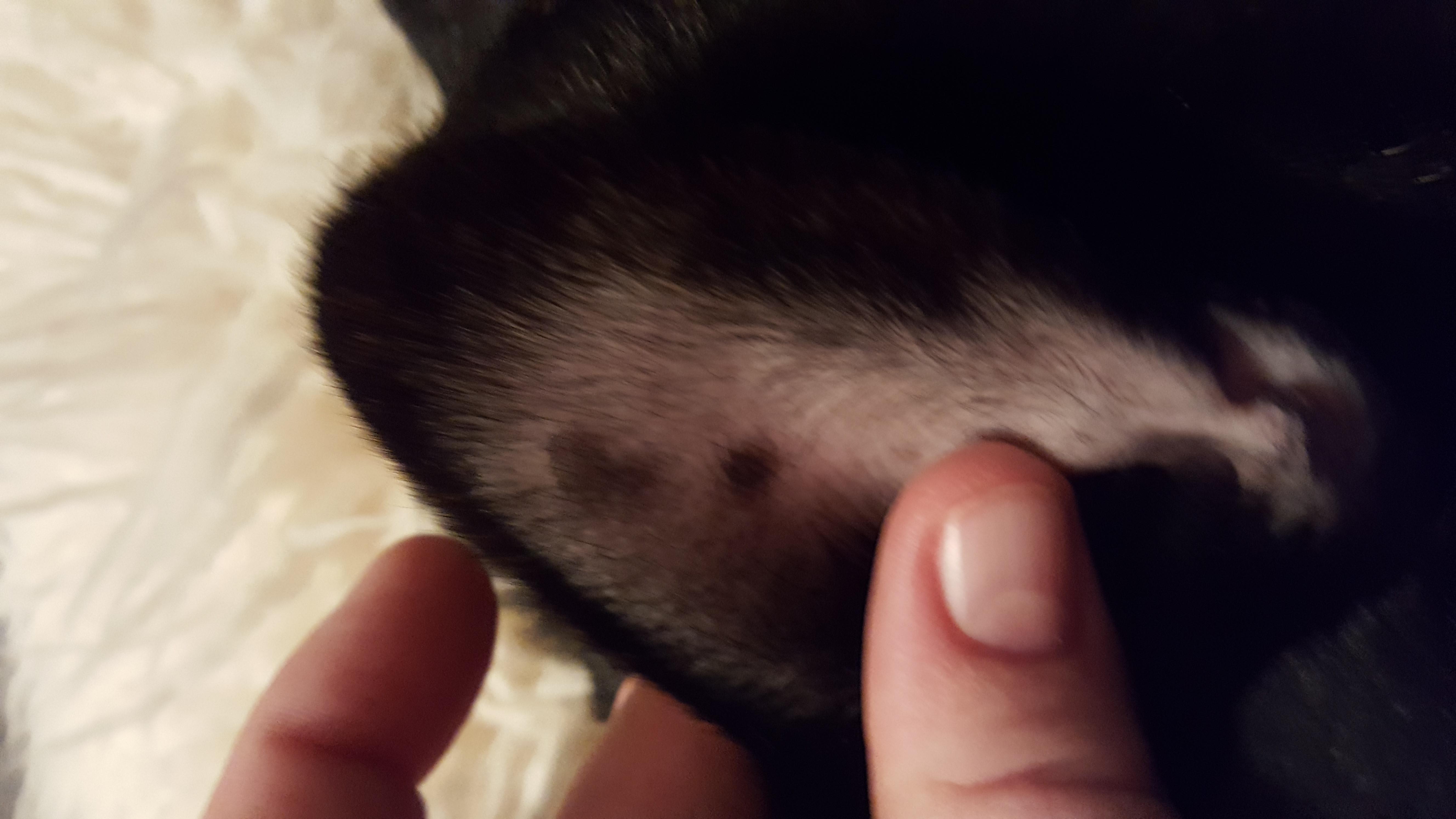 Question details sensitive content