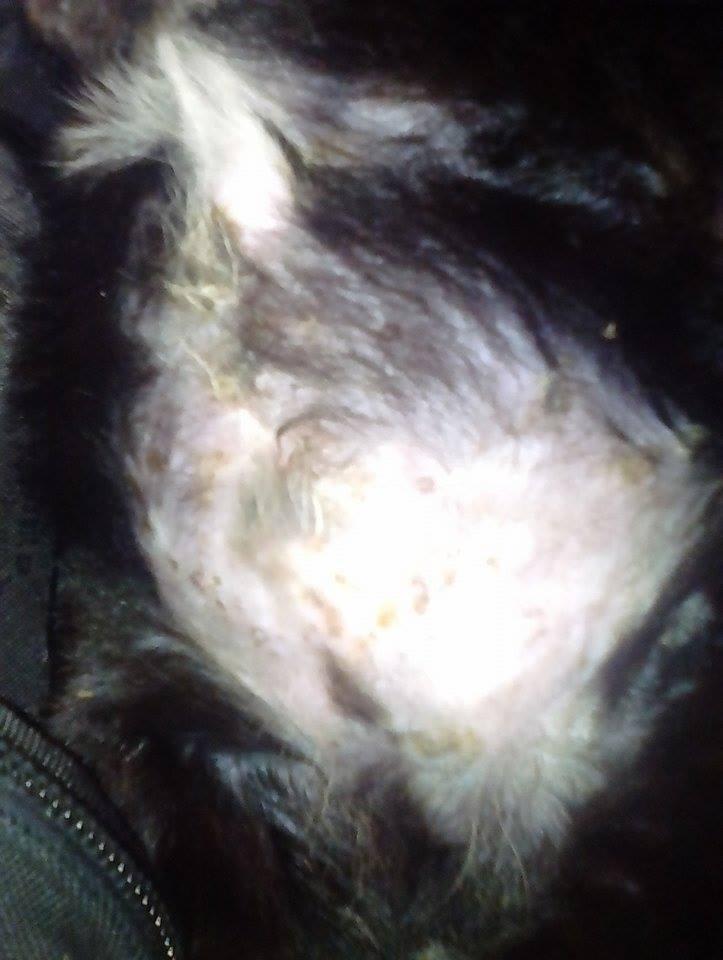 Question details sensitive content