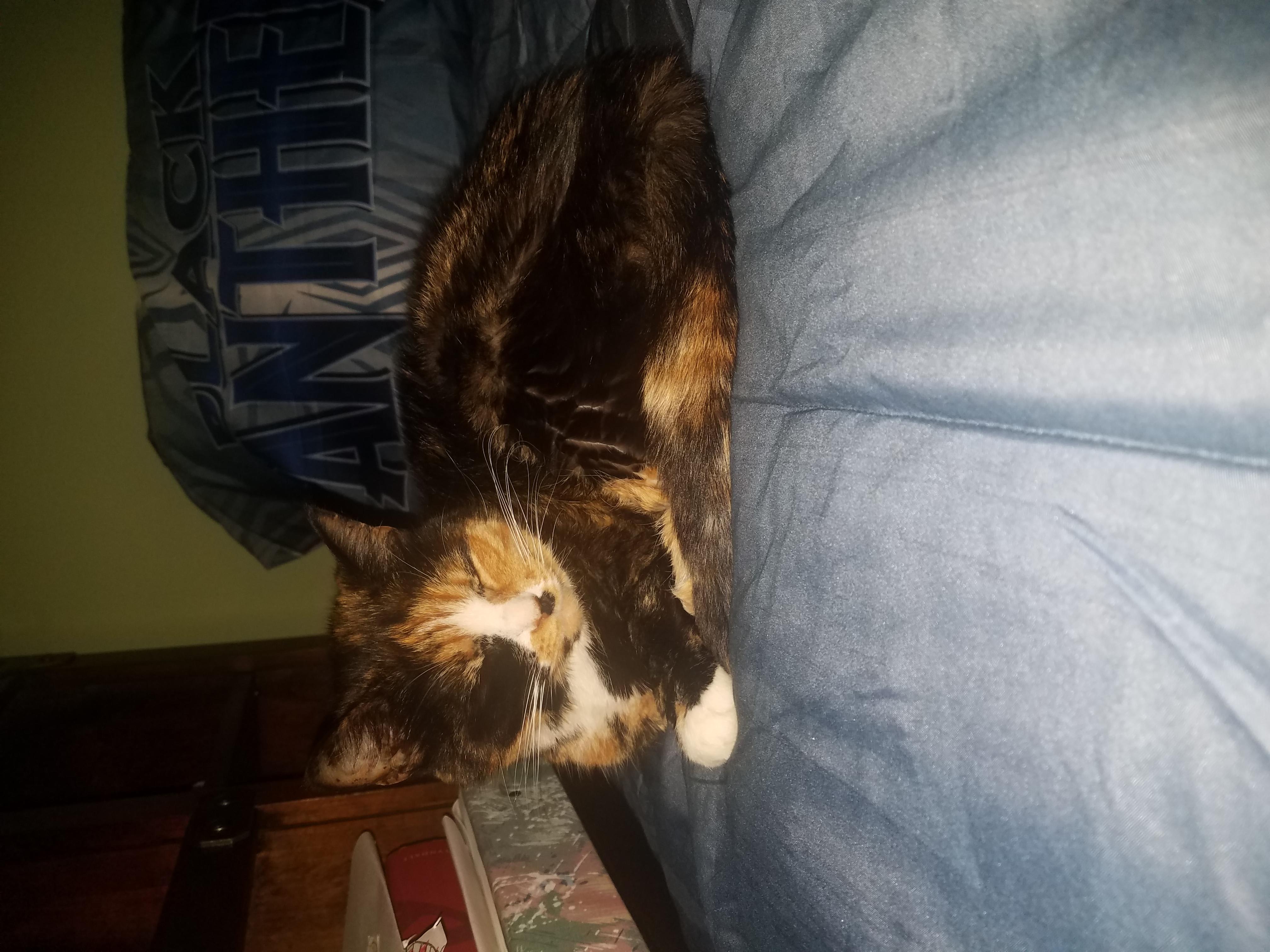 Question details sensitive content