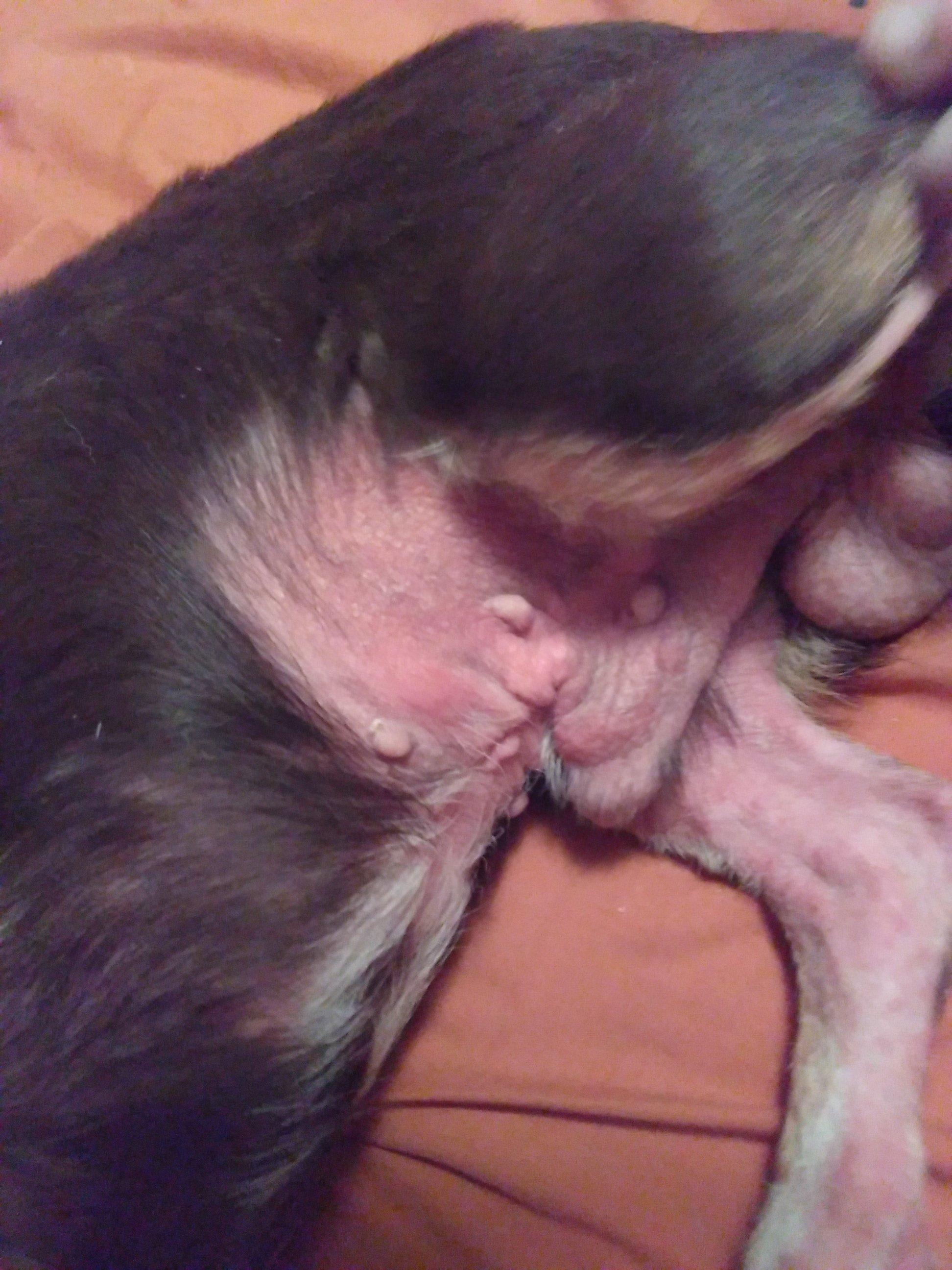 Question details sensitive content