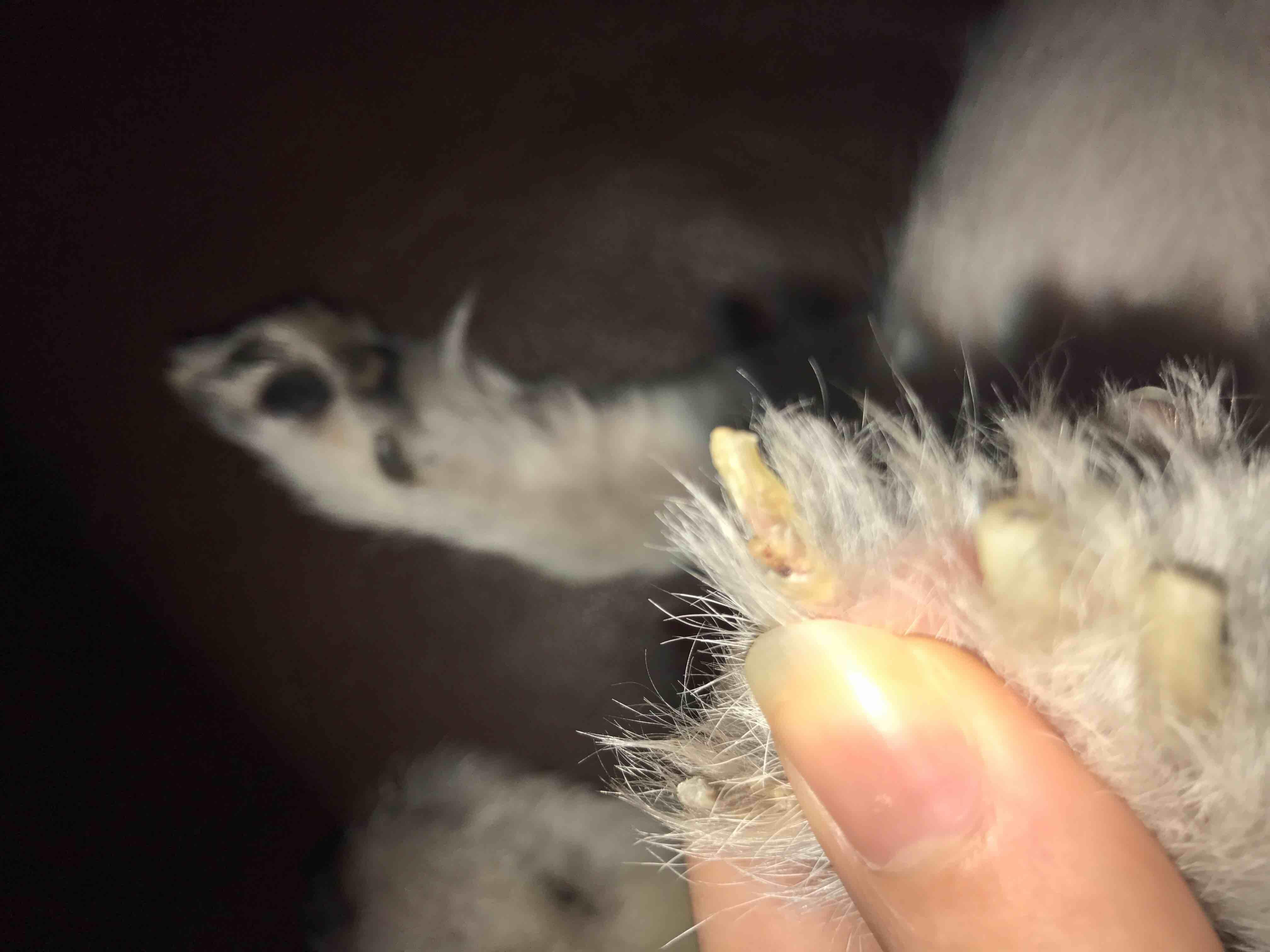 Question details sensitive content