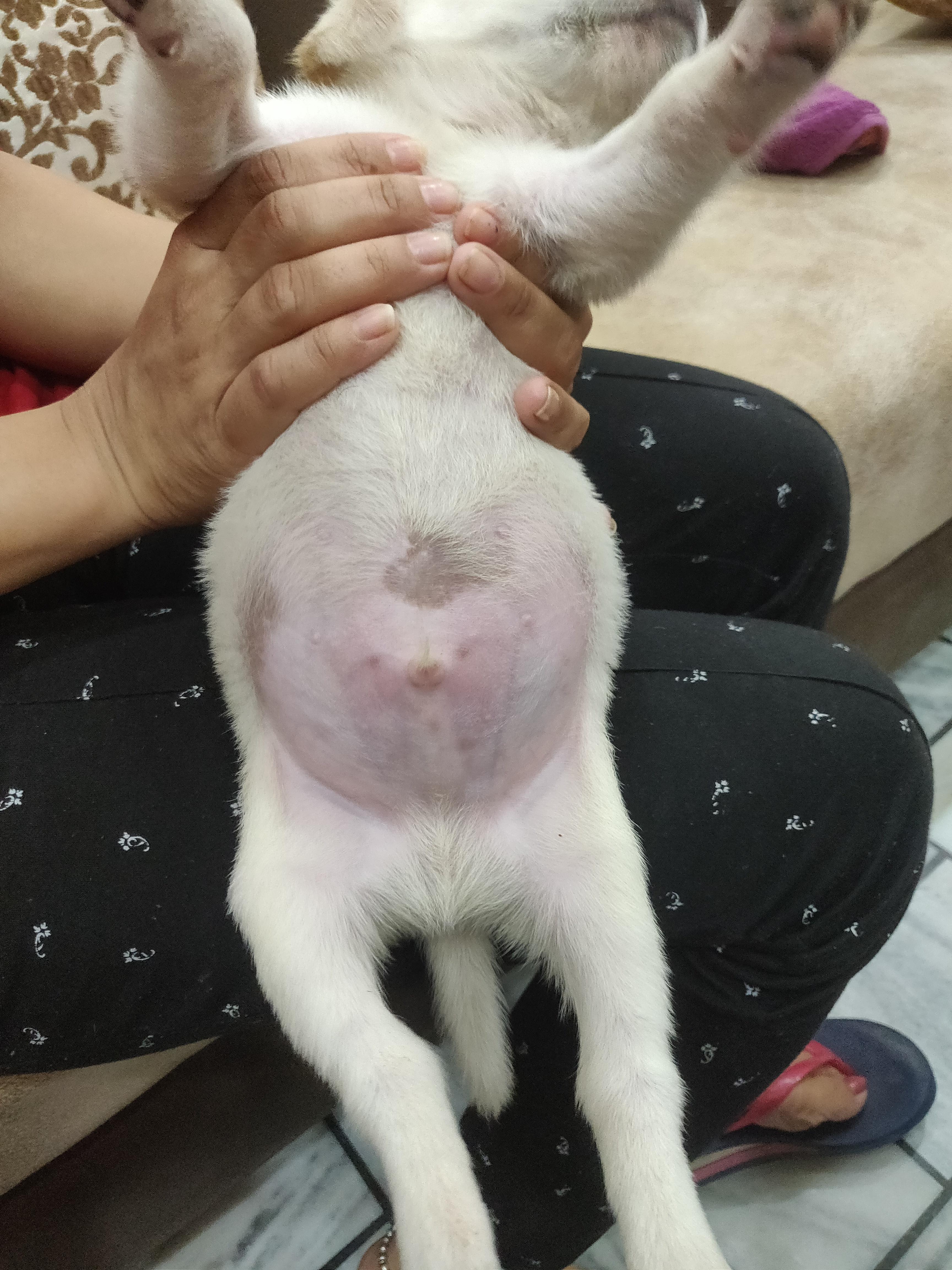 Question details sensitive content