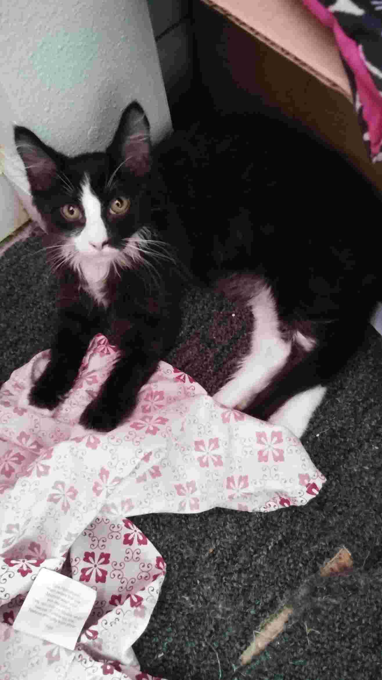 Question details sensitive content