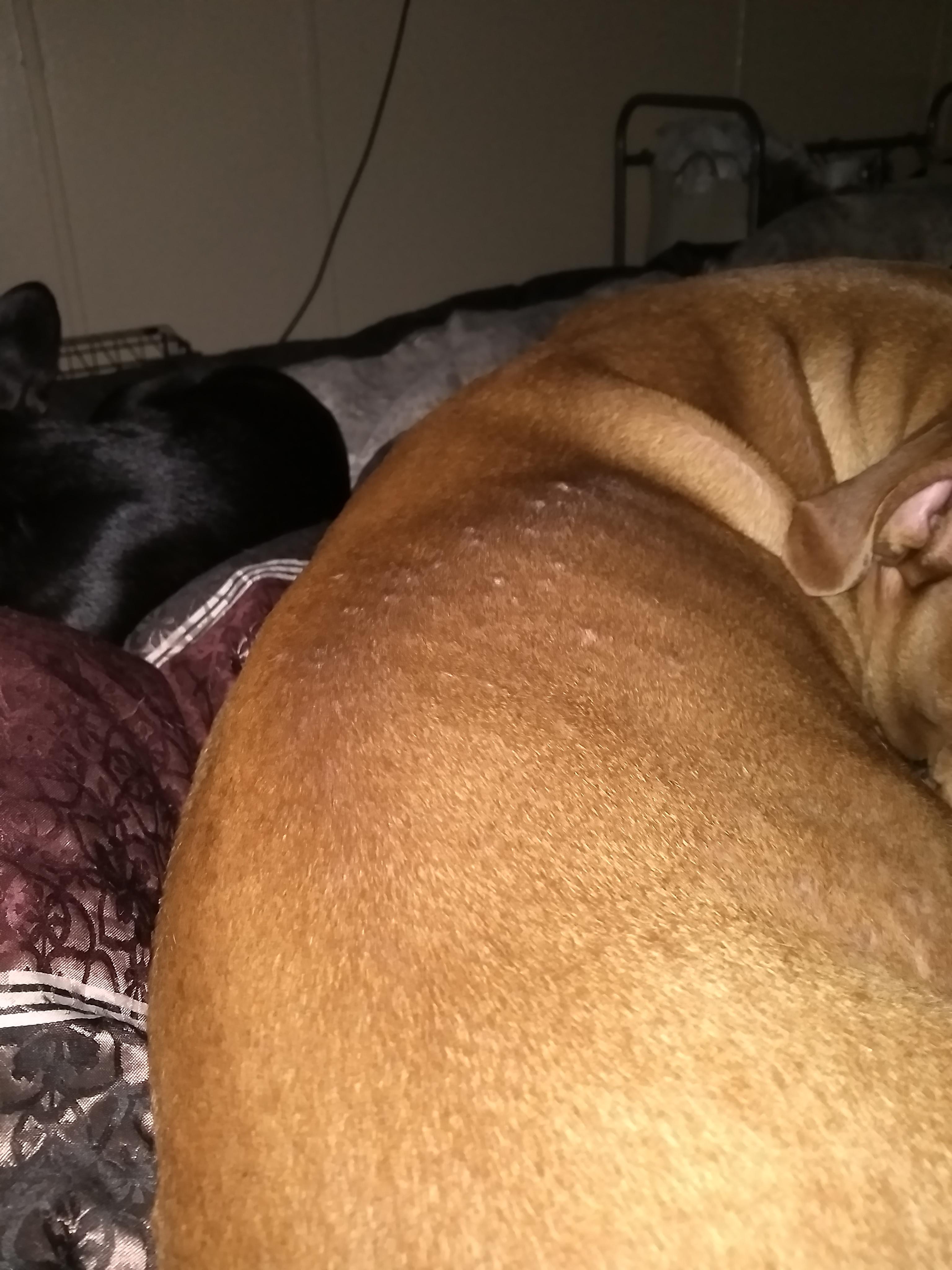 Question details sensitive content