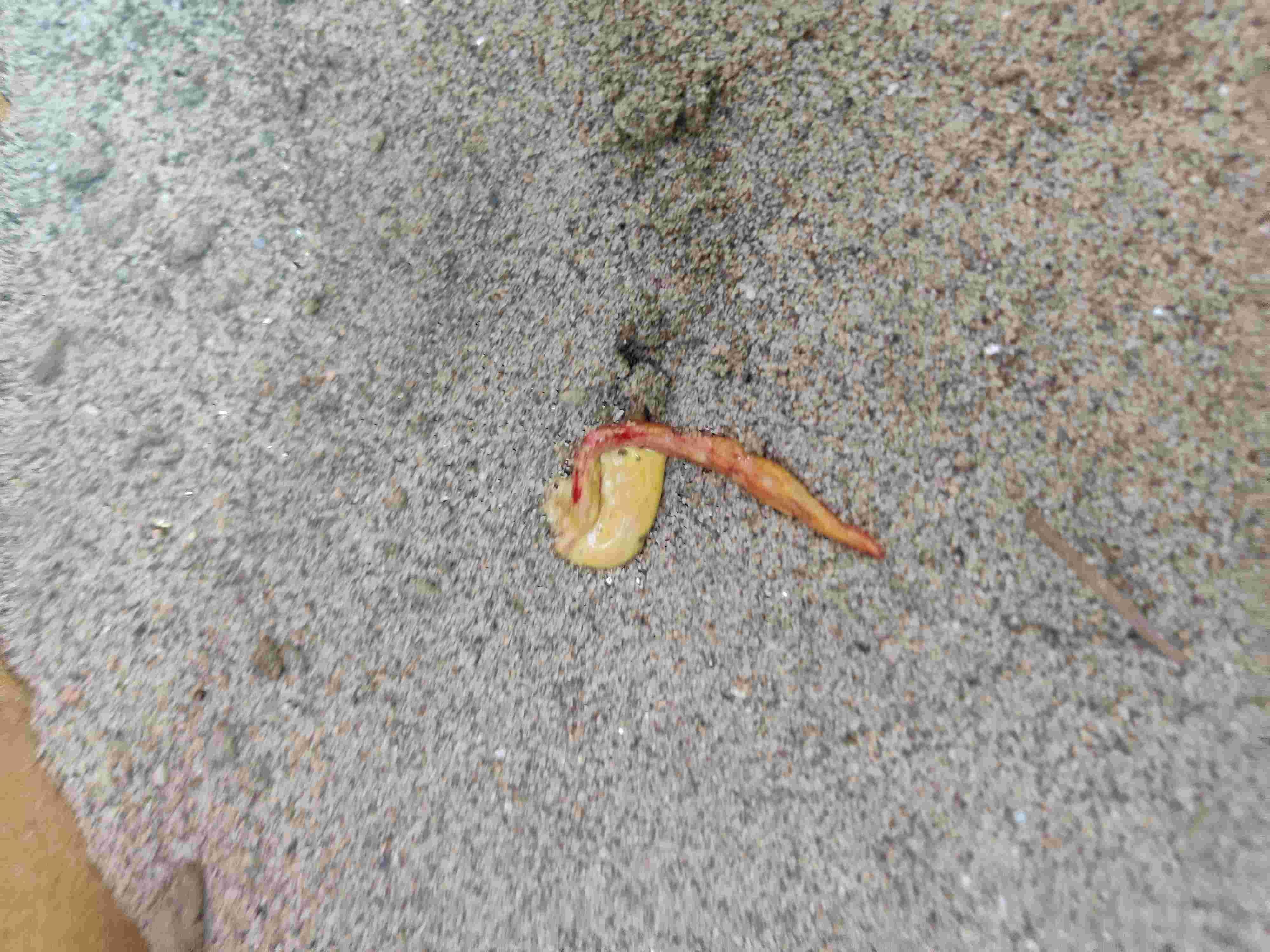 Question details sensitive content