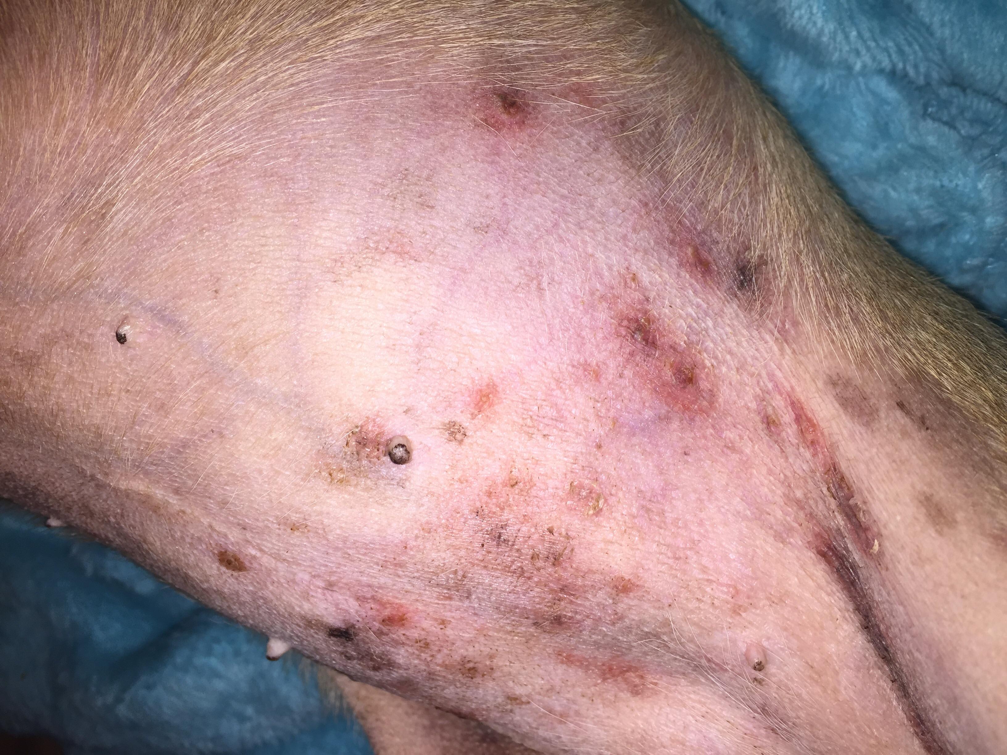 Question details sensitive content