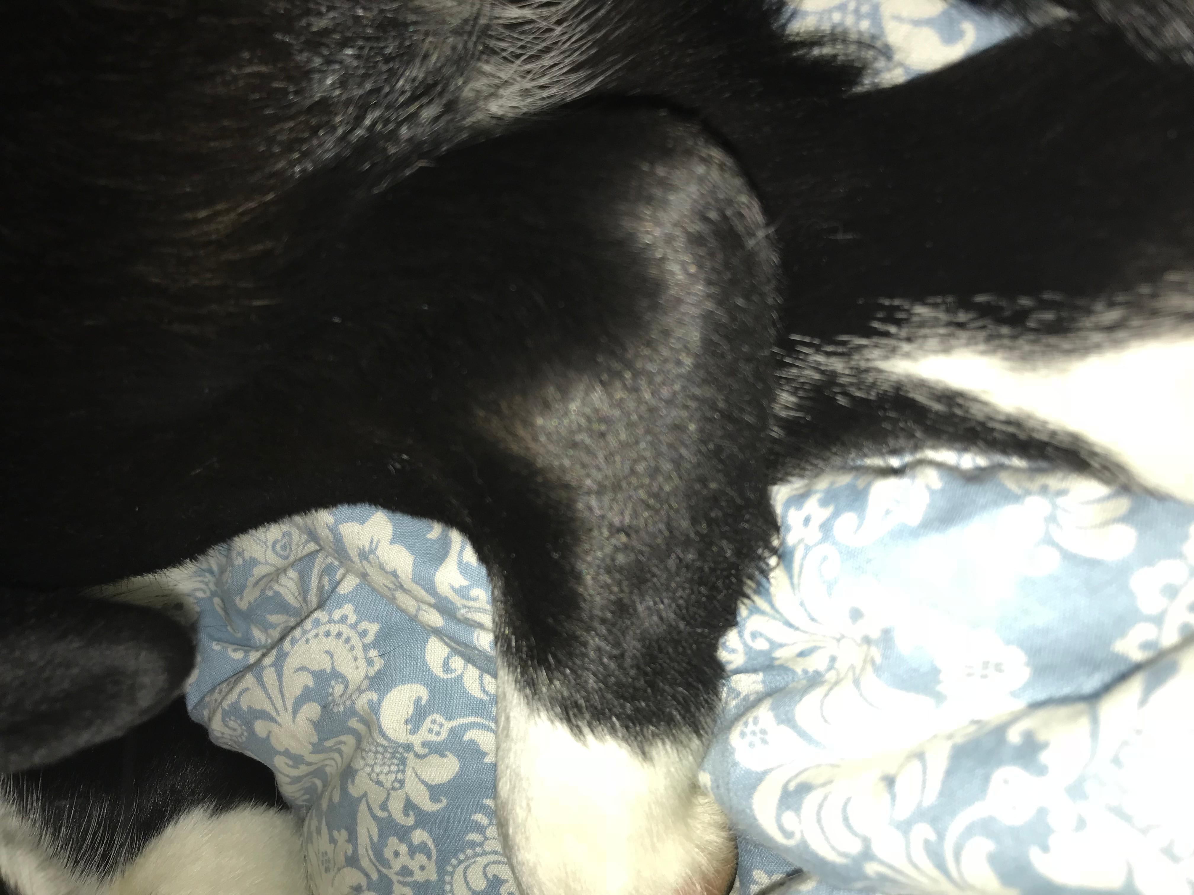 Question details sensitive content