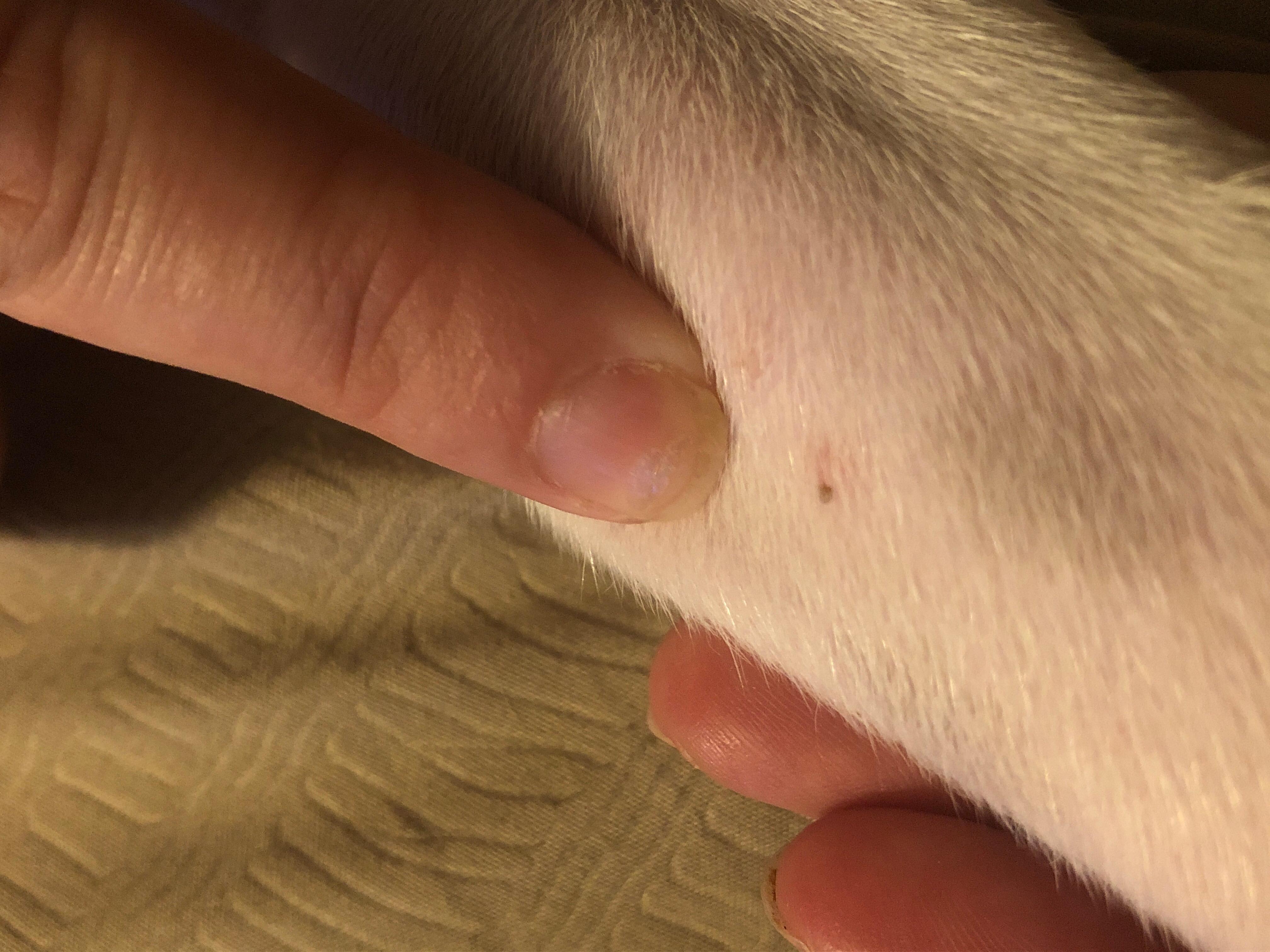 Question details sensitive content