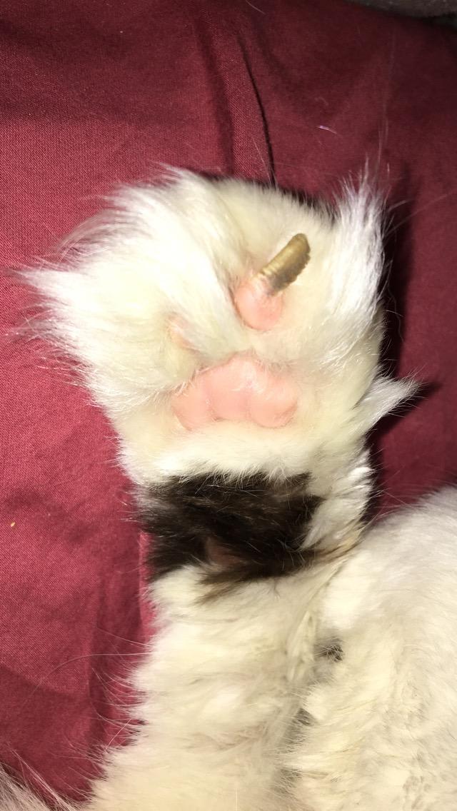 Question details sensitive content