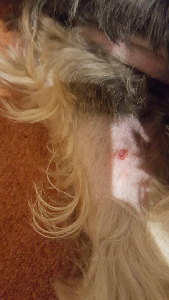 Question details sensitive content