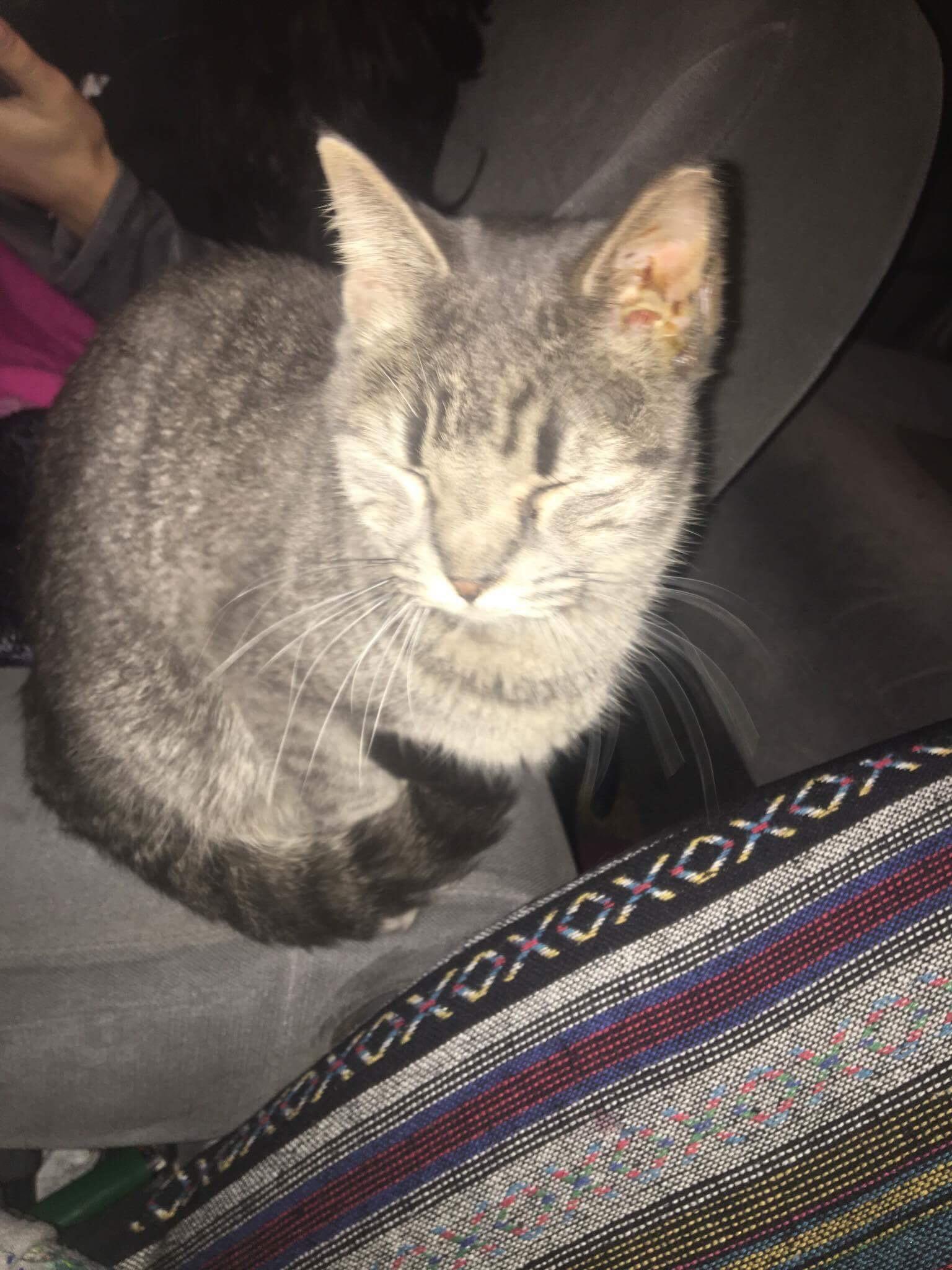 Question details sensitive content