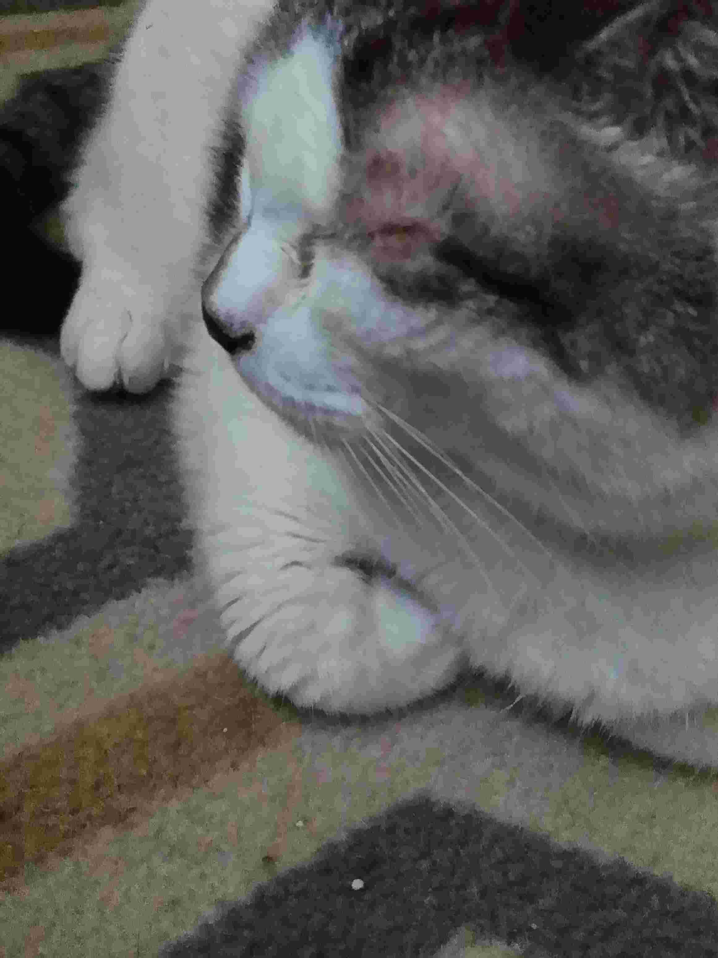 Question details sensitive content