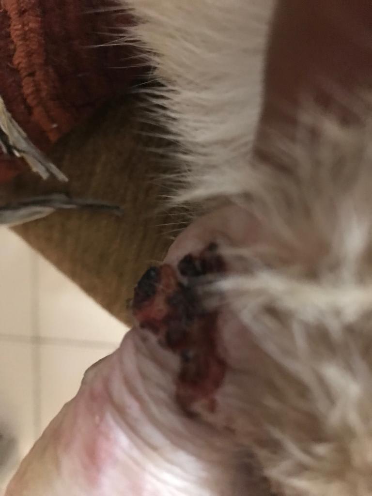 Question details sensitive content