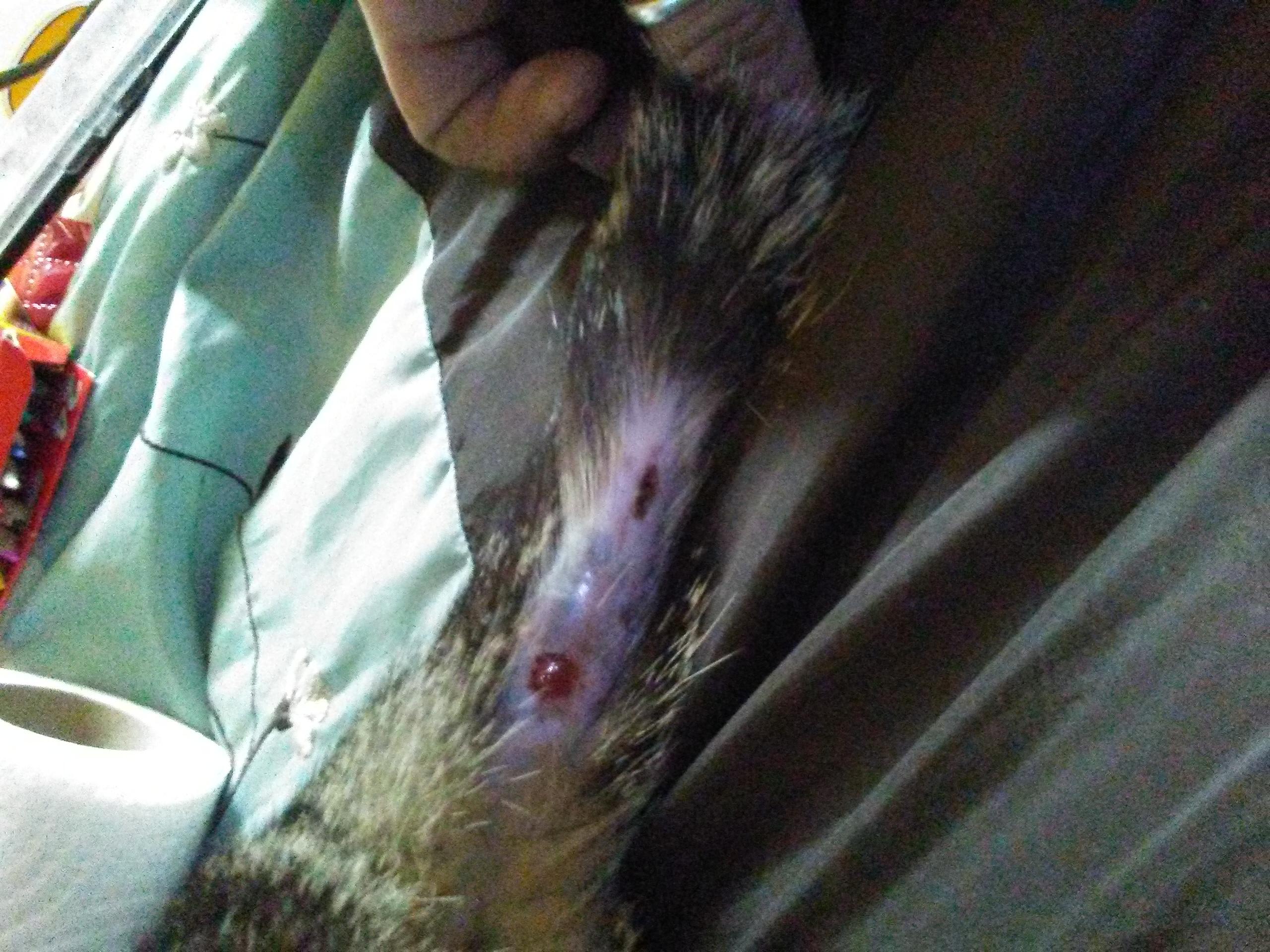 Question details sensitive content