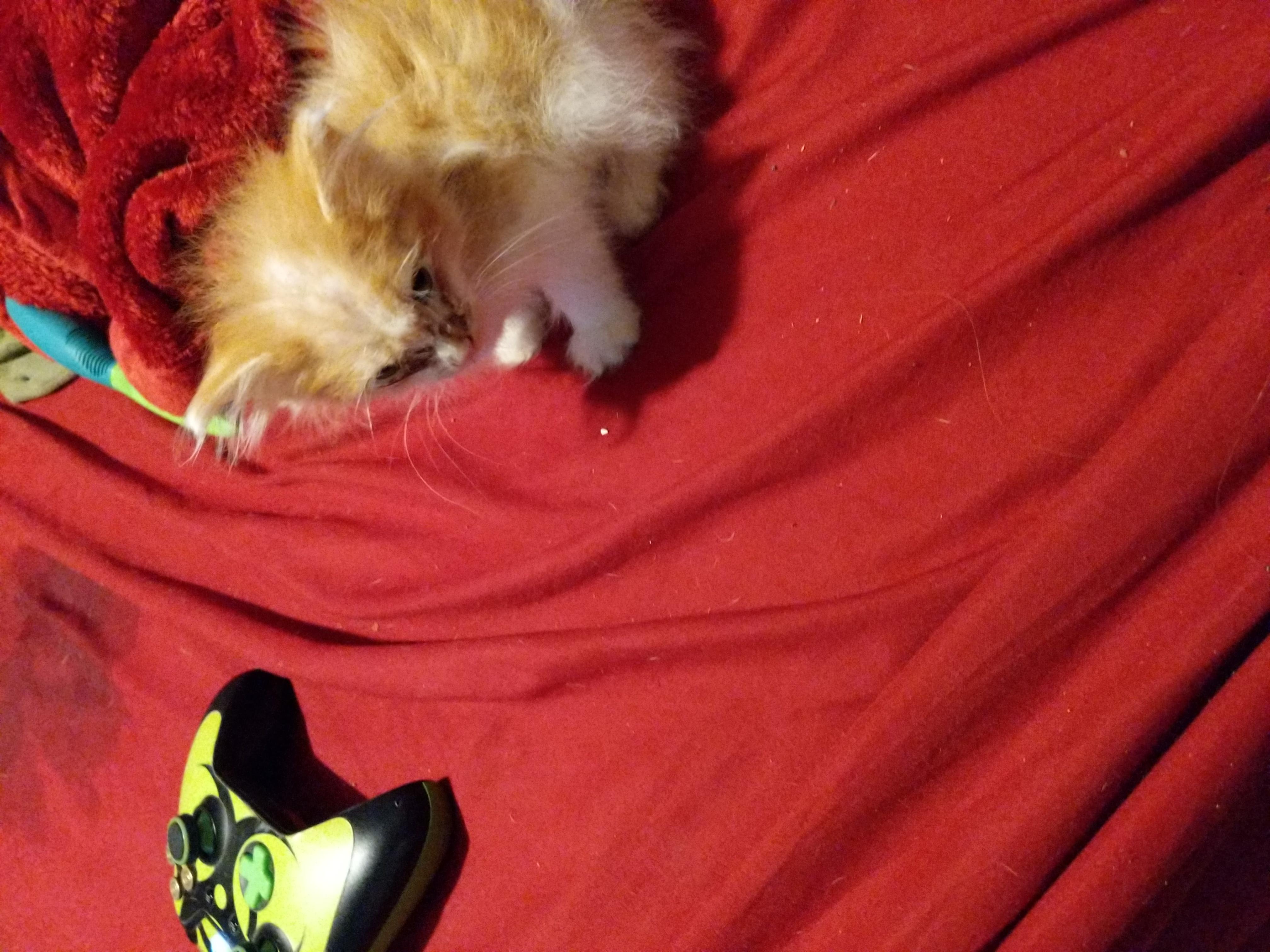 Question details sensitive content