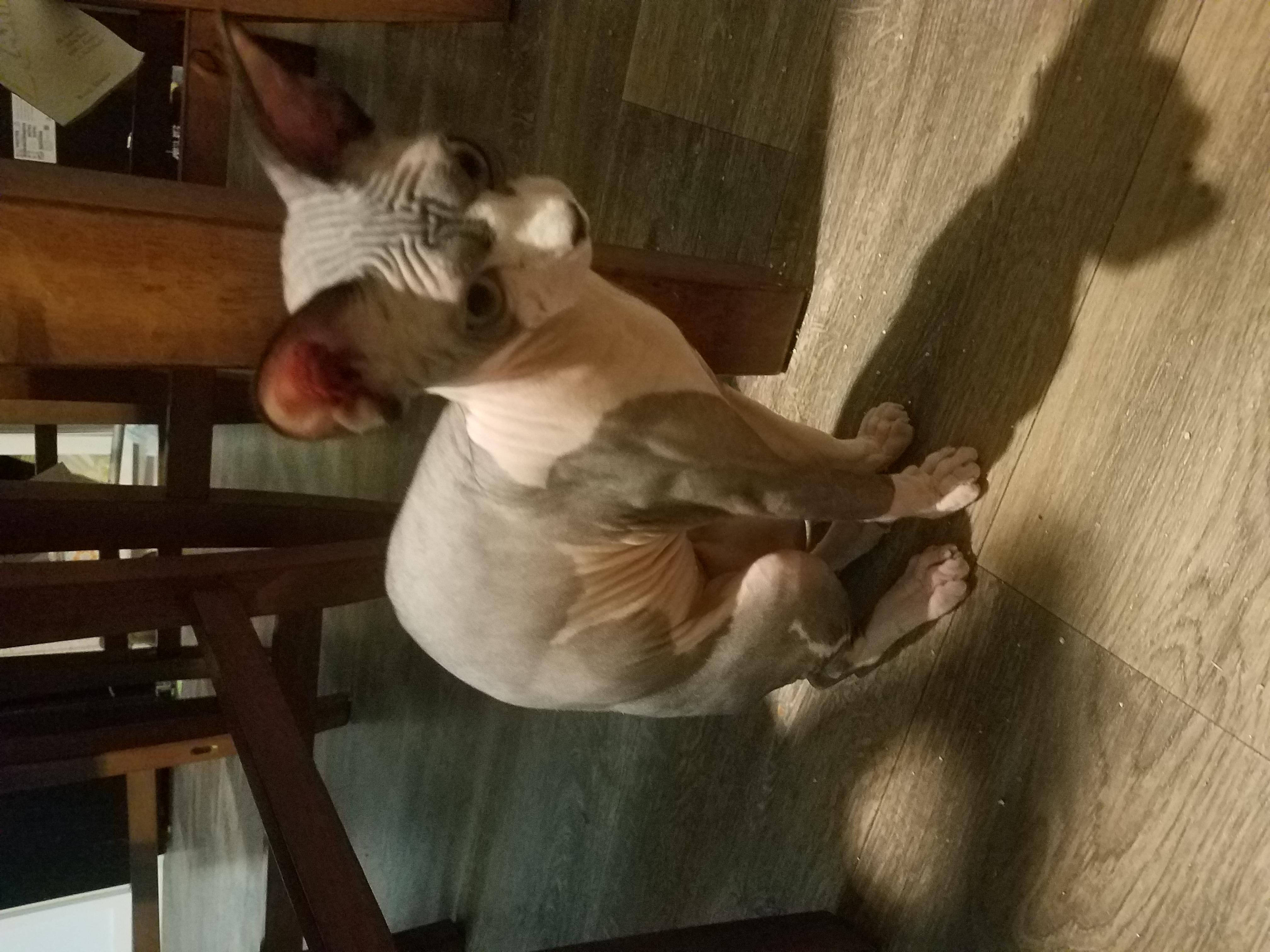 Question details sensitive content