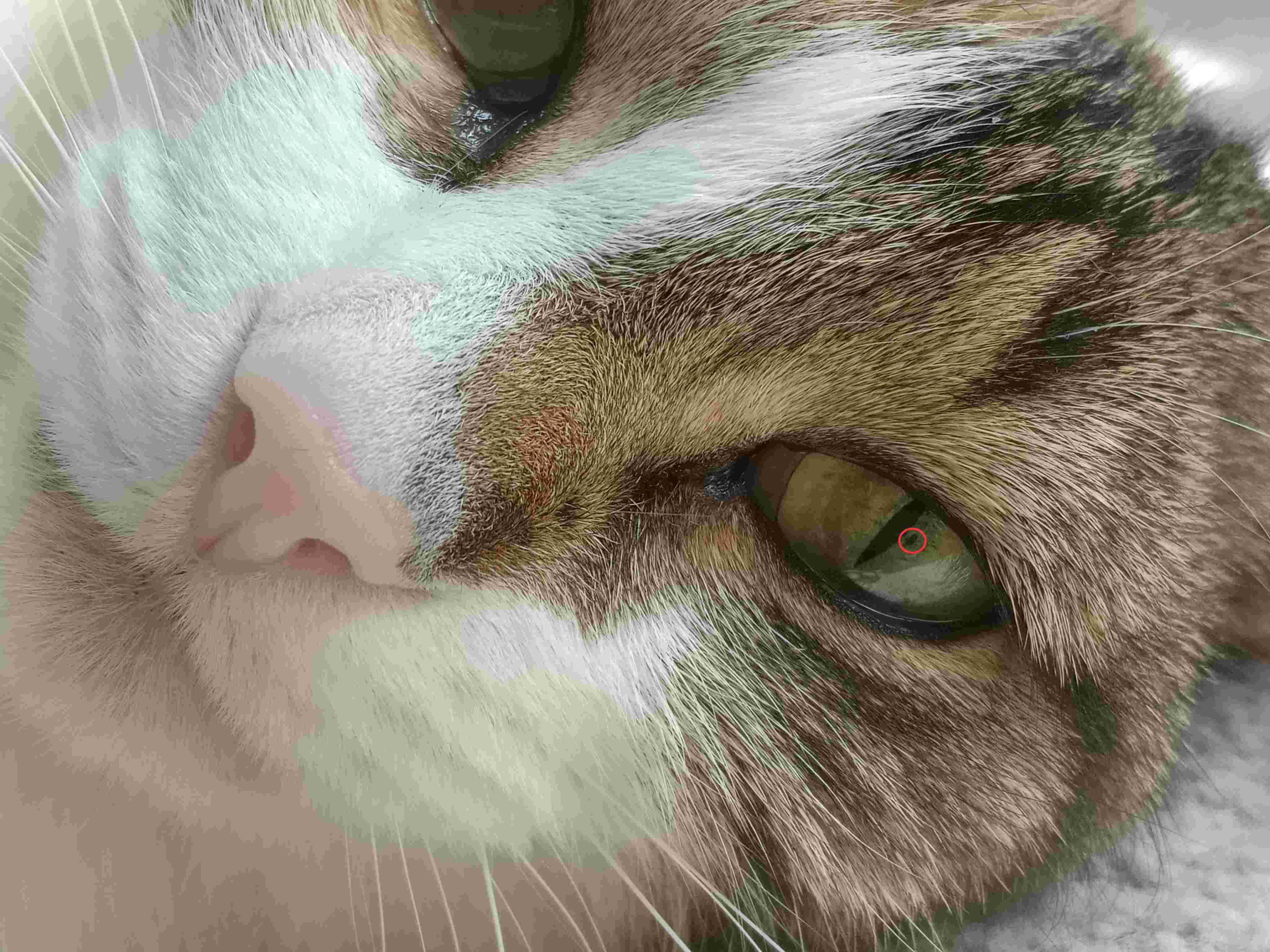 Question details sensitive content