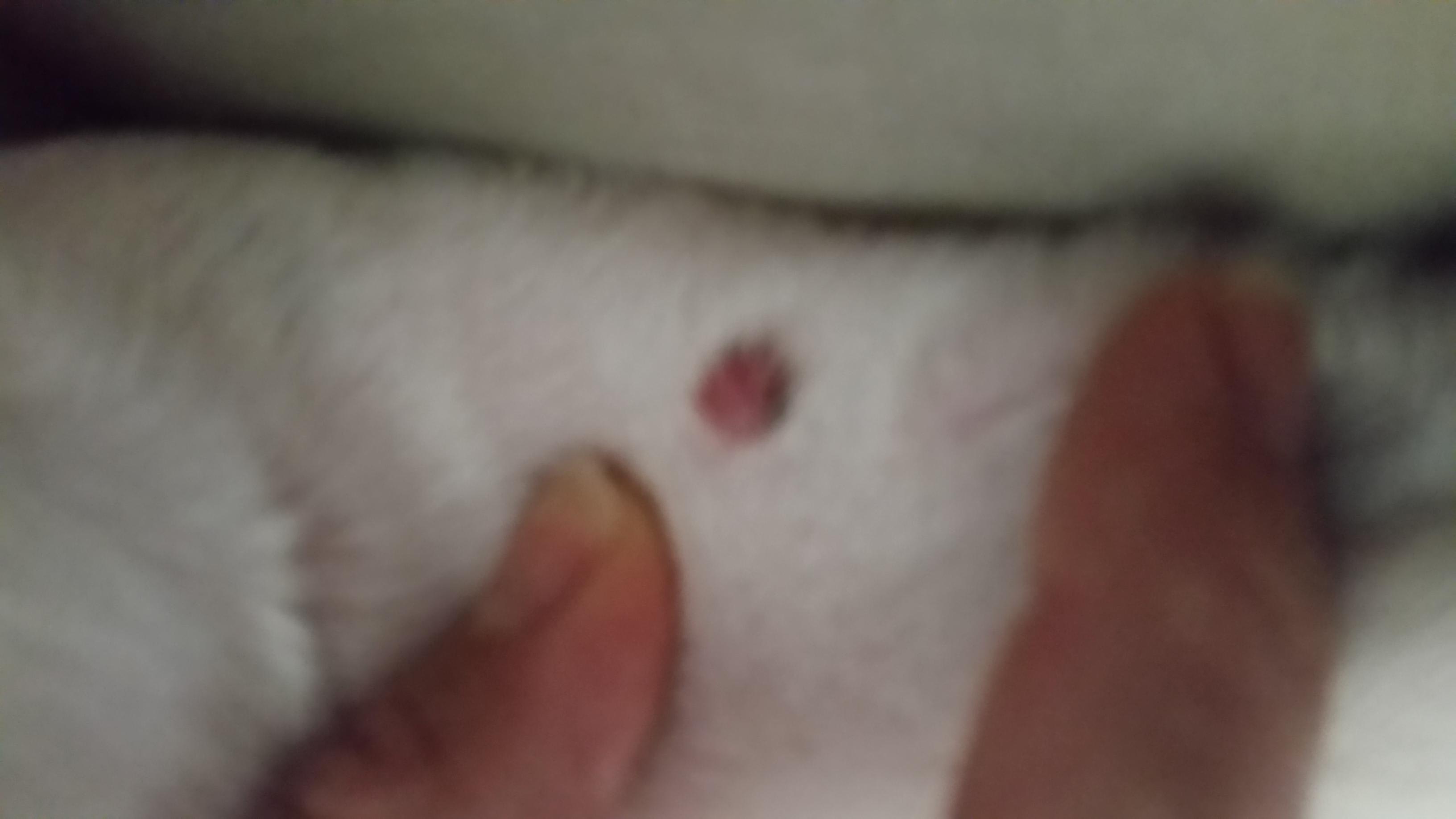 Question details sensitive content