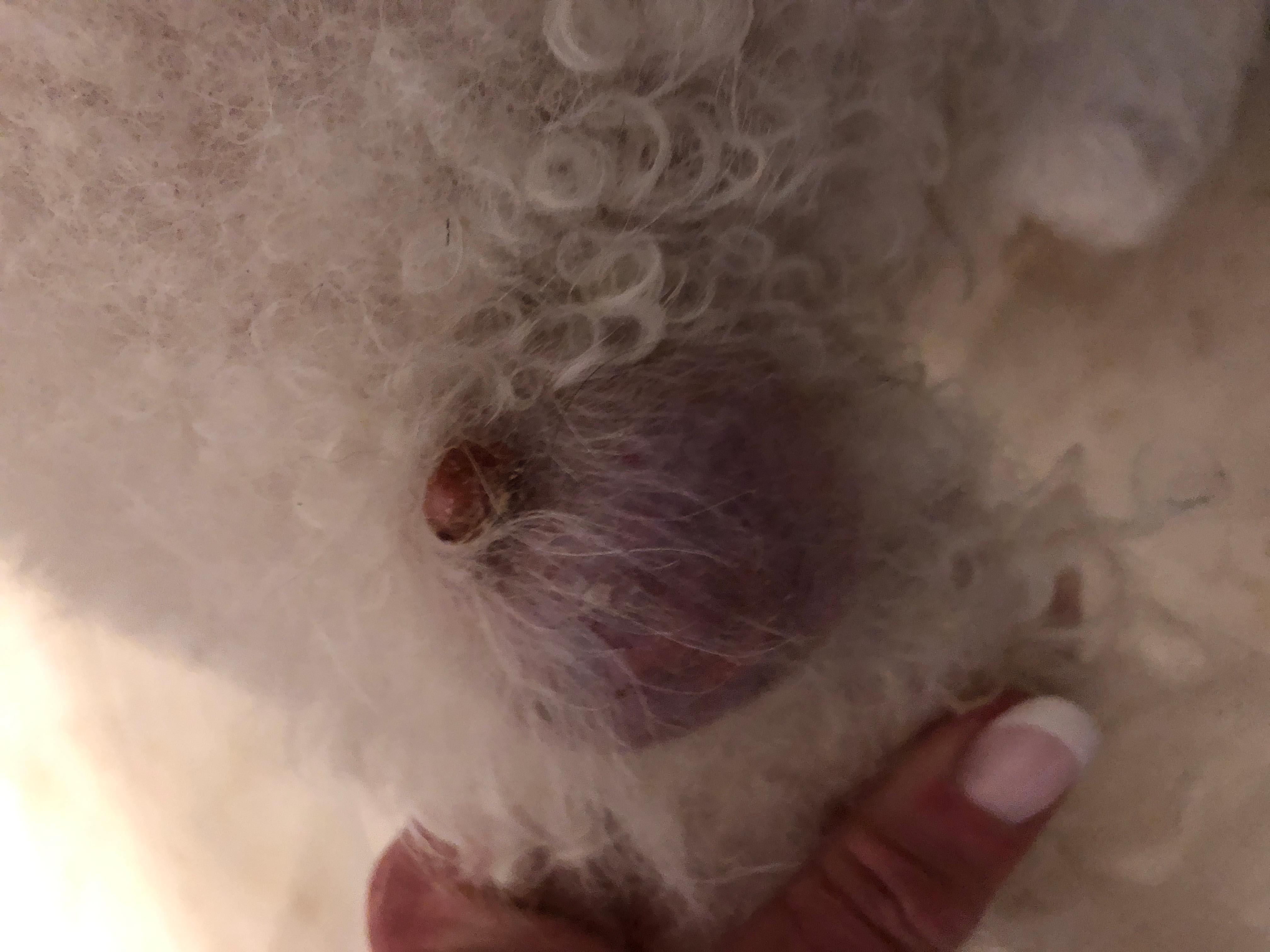 Question details sensitive content