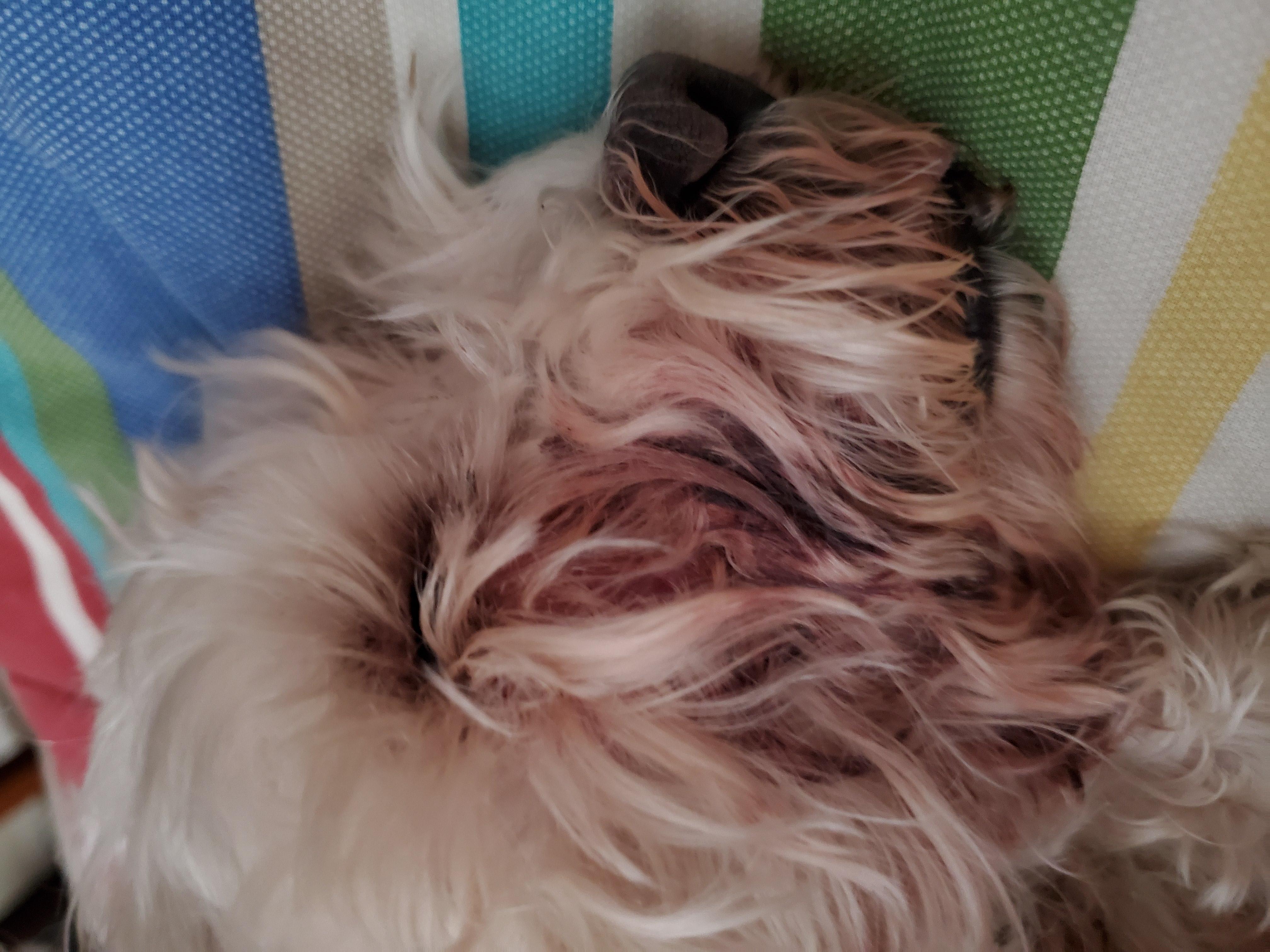 Question details sensitive content