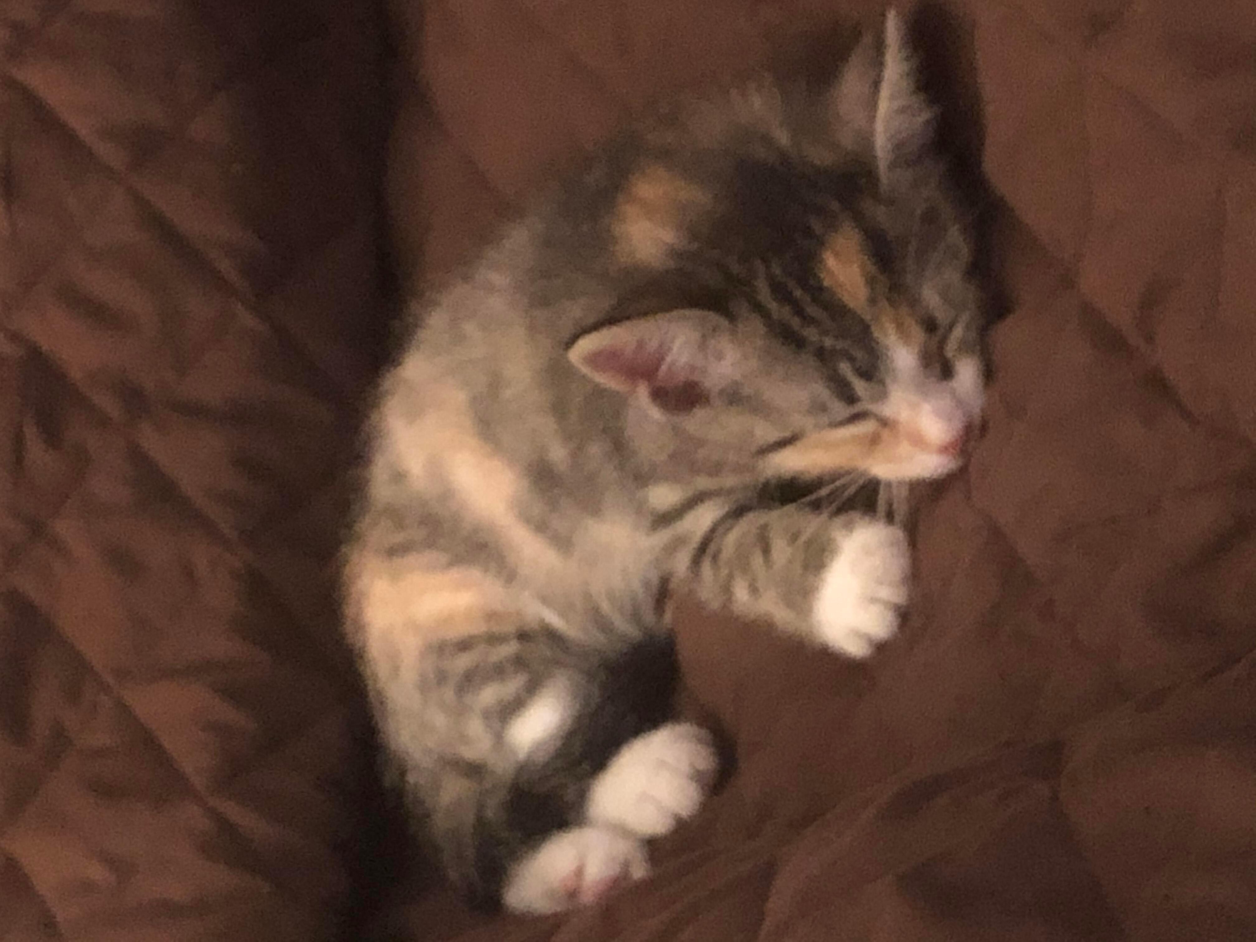 Question details sensitive content