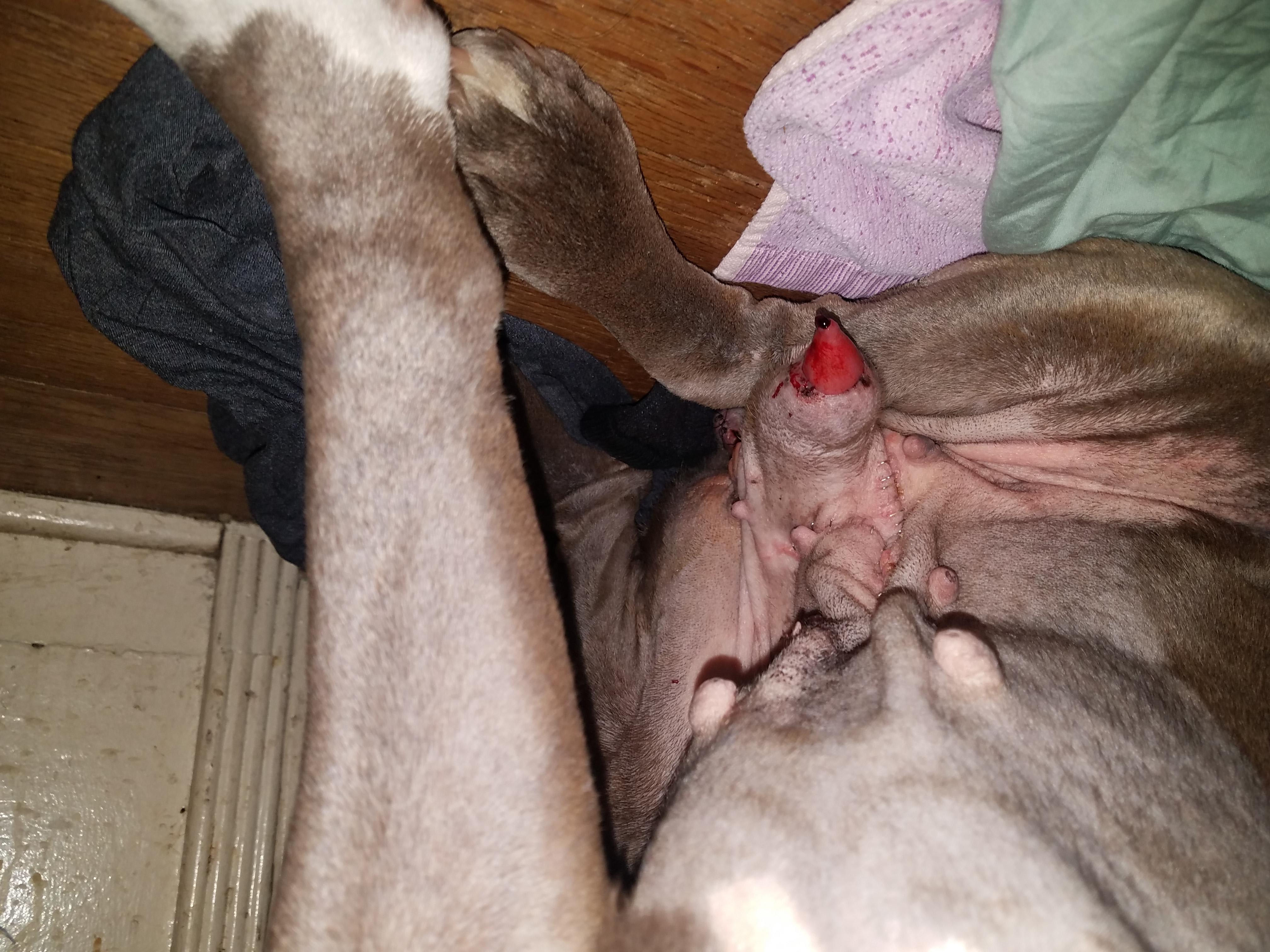 Question details sensitive content