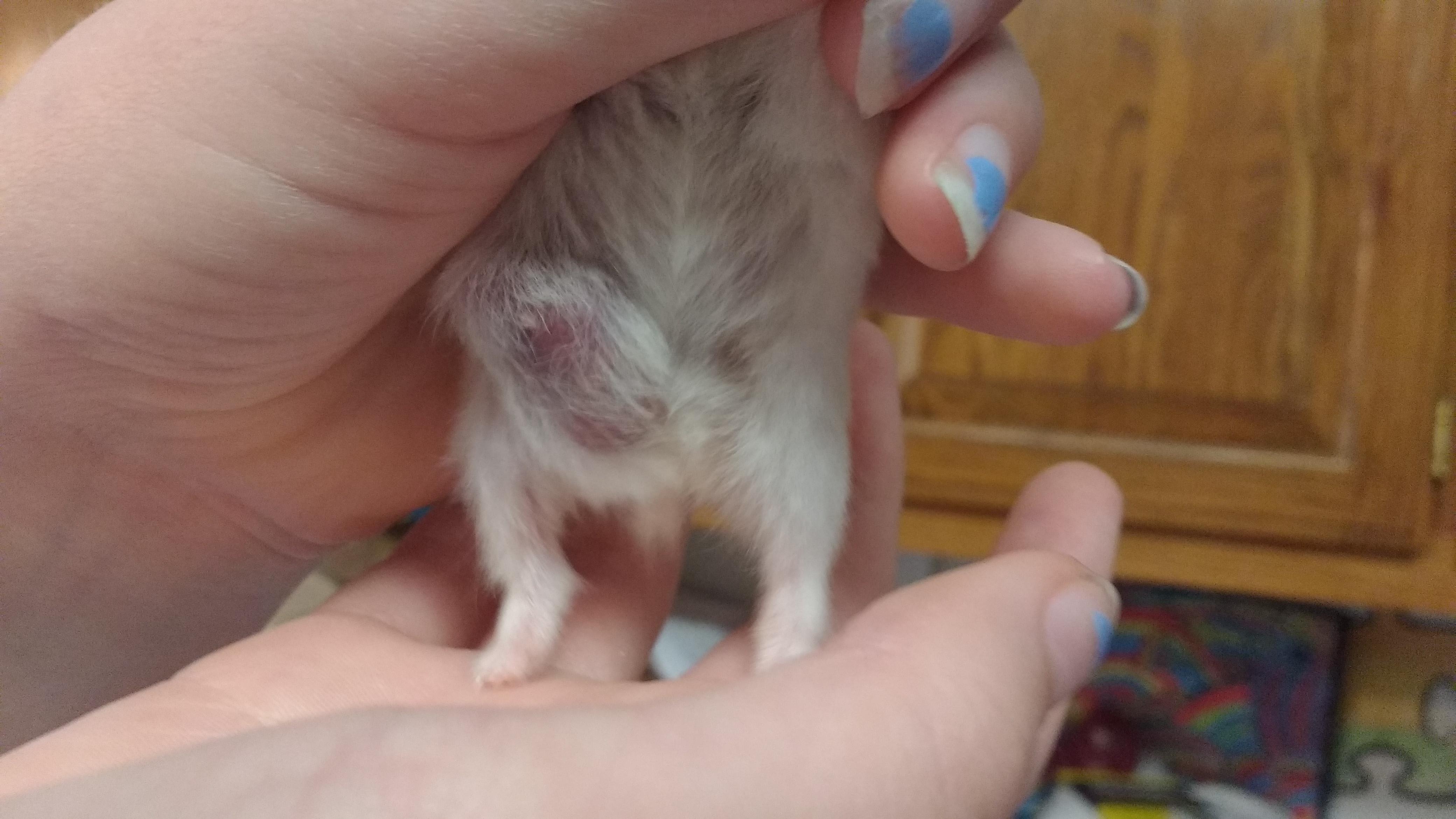 Question details sensitive content