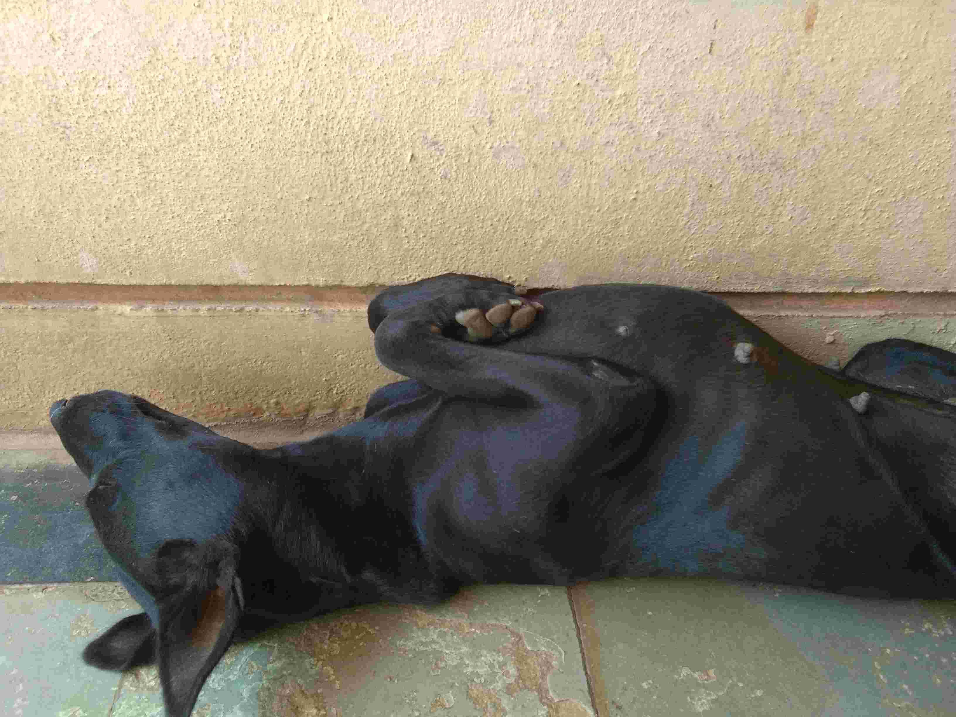 Question details sensitive content