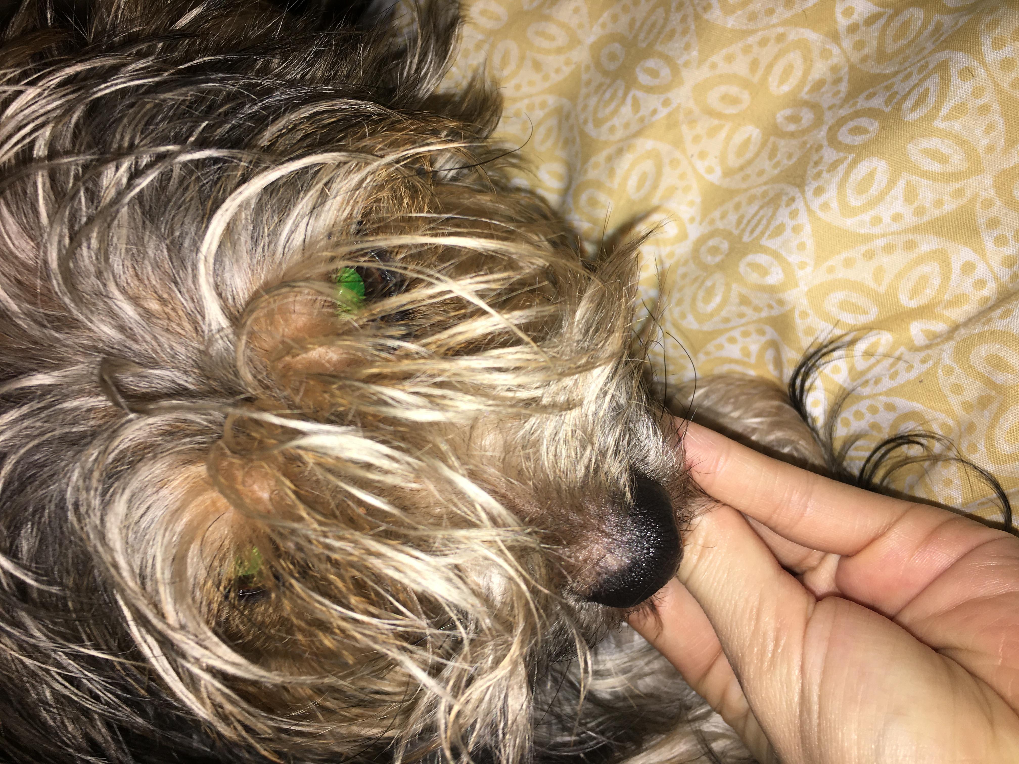 Question details sensitive content