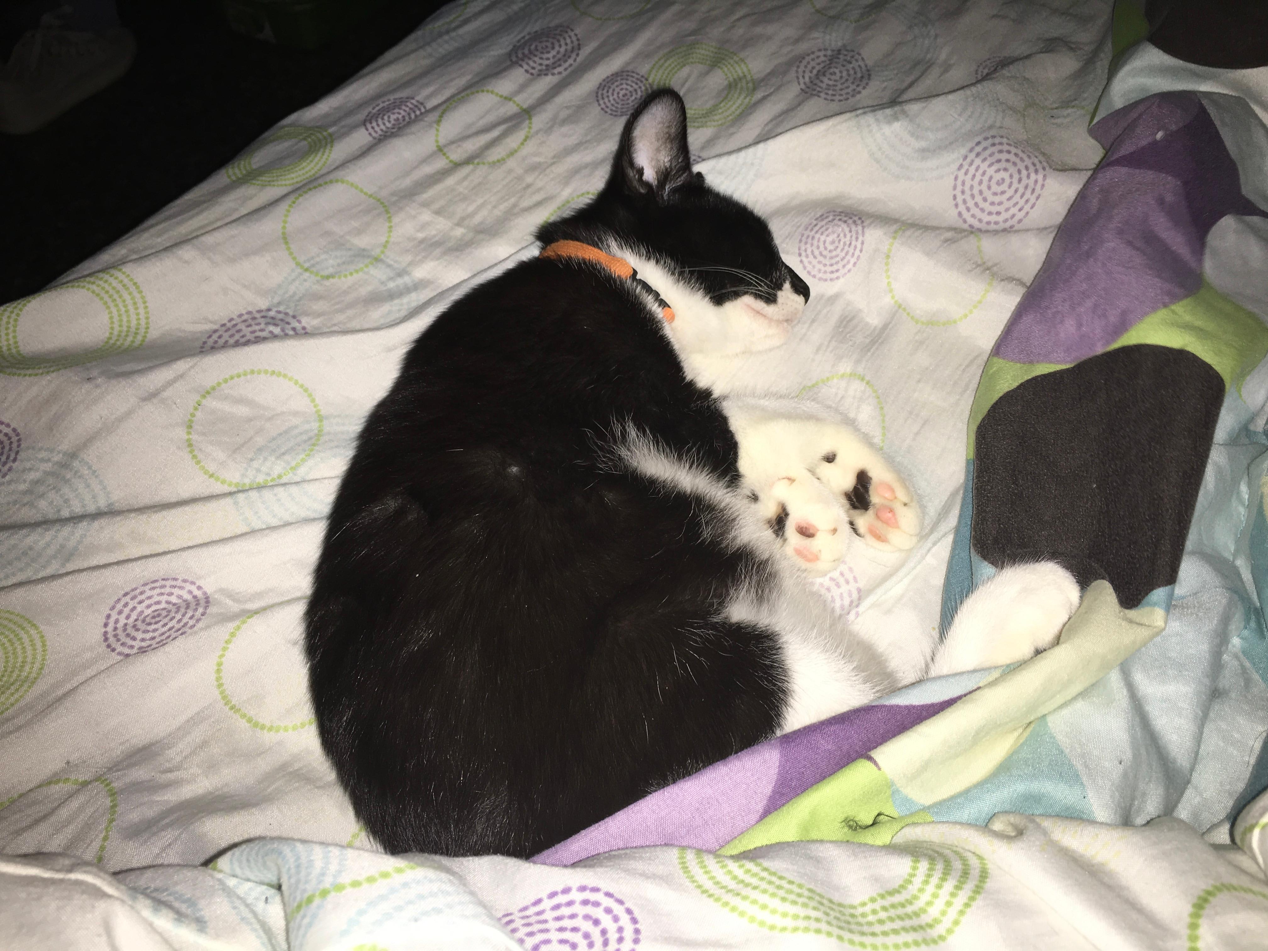 Question details sensitive content